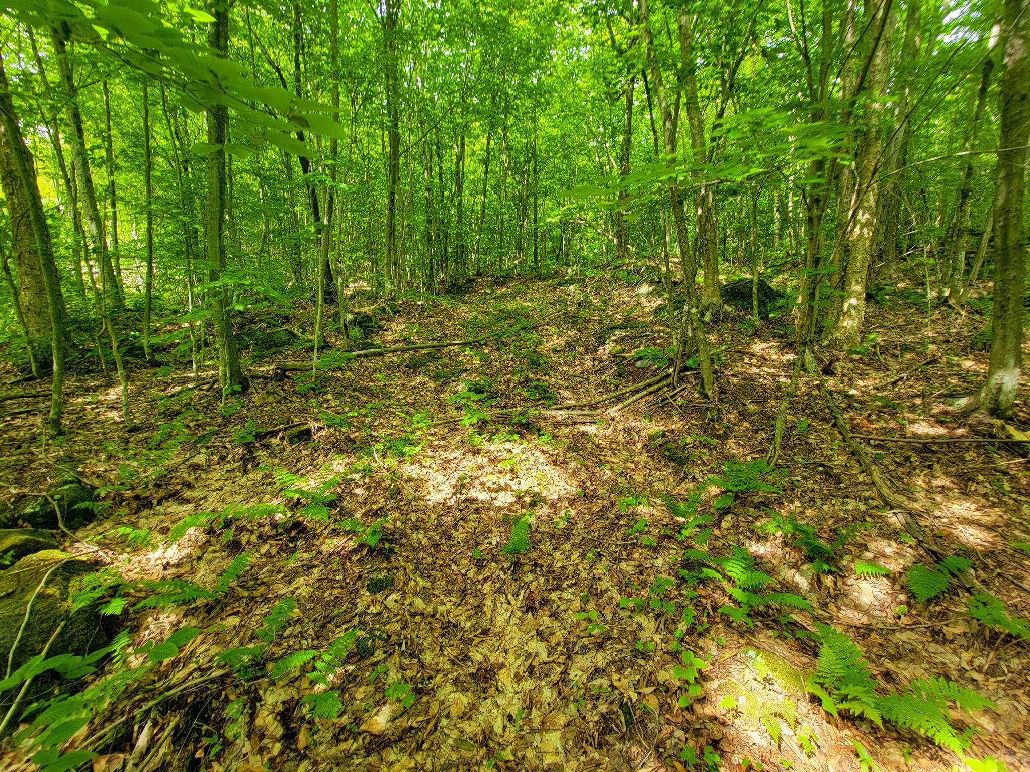 4166 Mines Road Property Photo 23