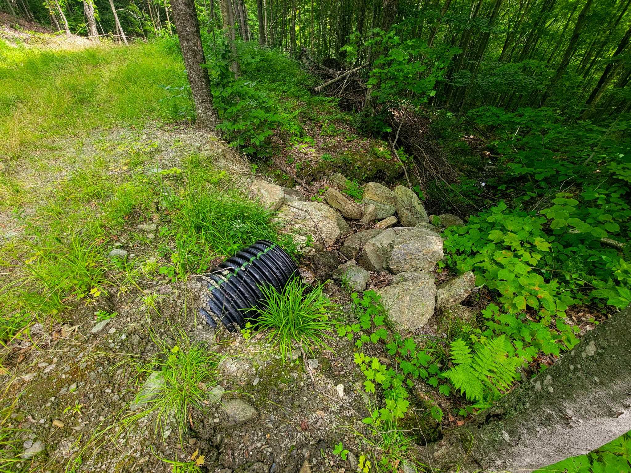 4166 Mines Road Property Photo 40