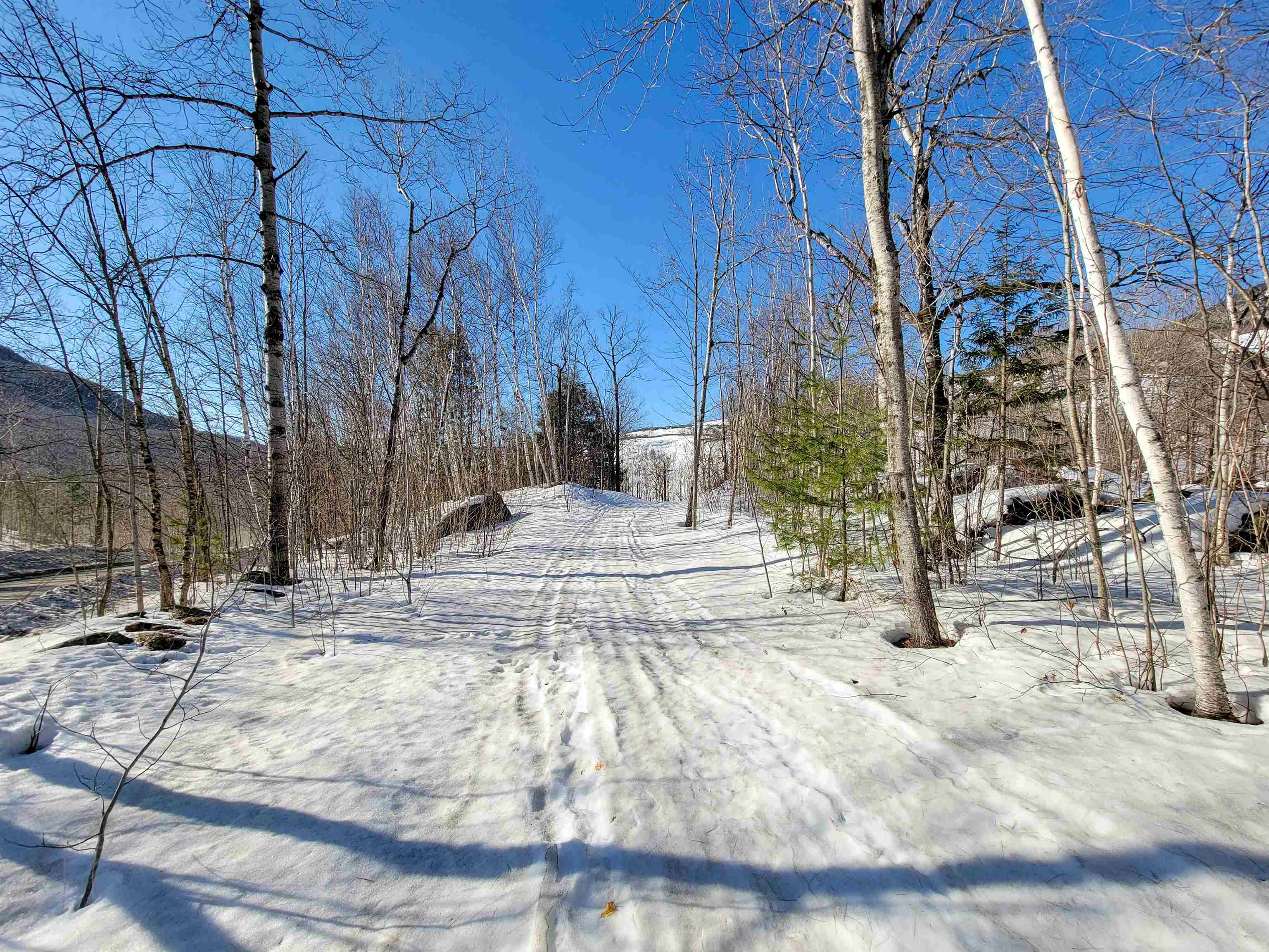 4166 Mines Road Property Photo 46
