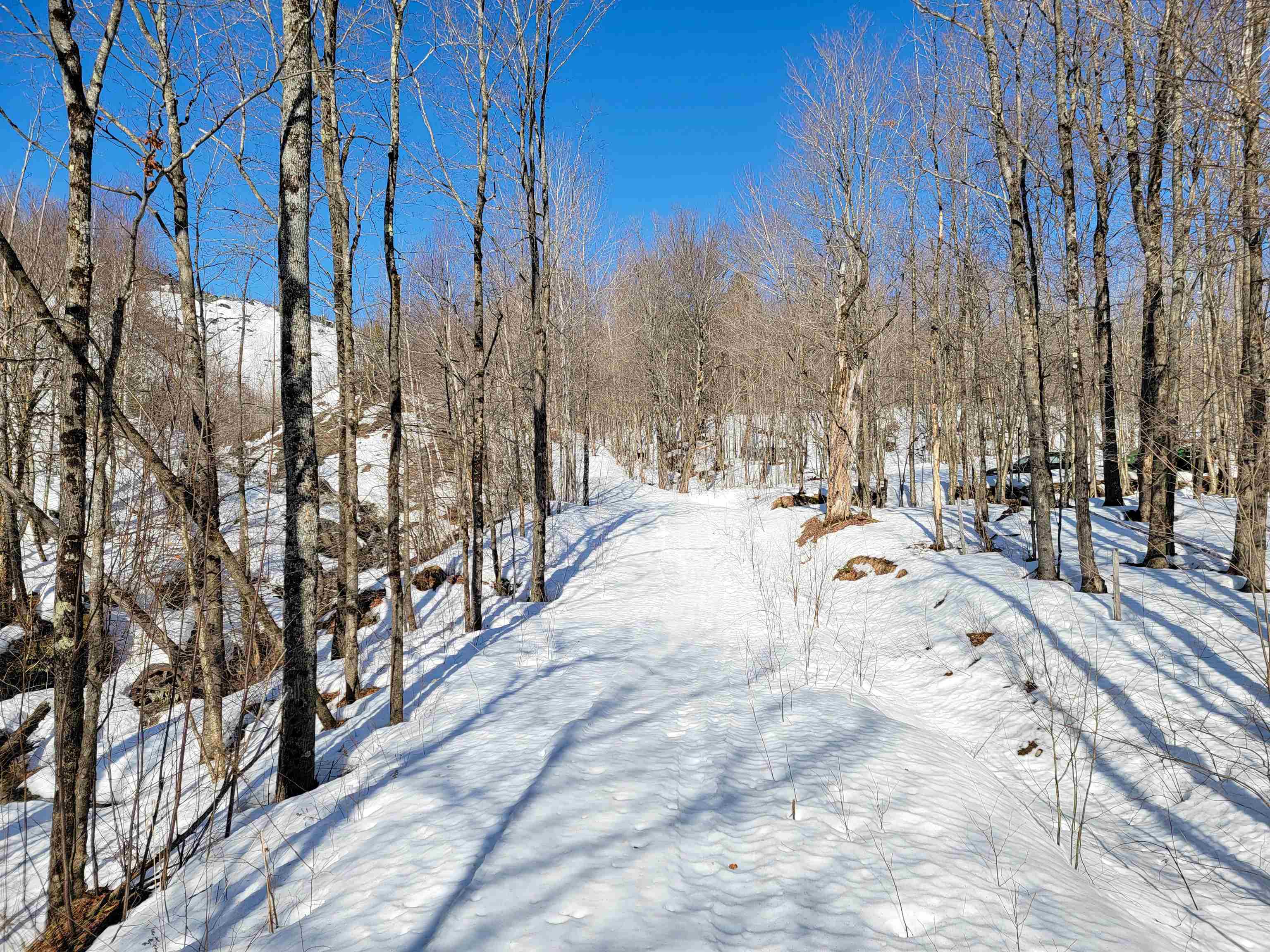 4166 Mines Road Property Photo 49