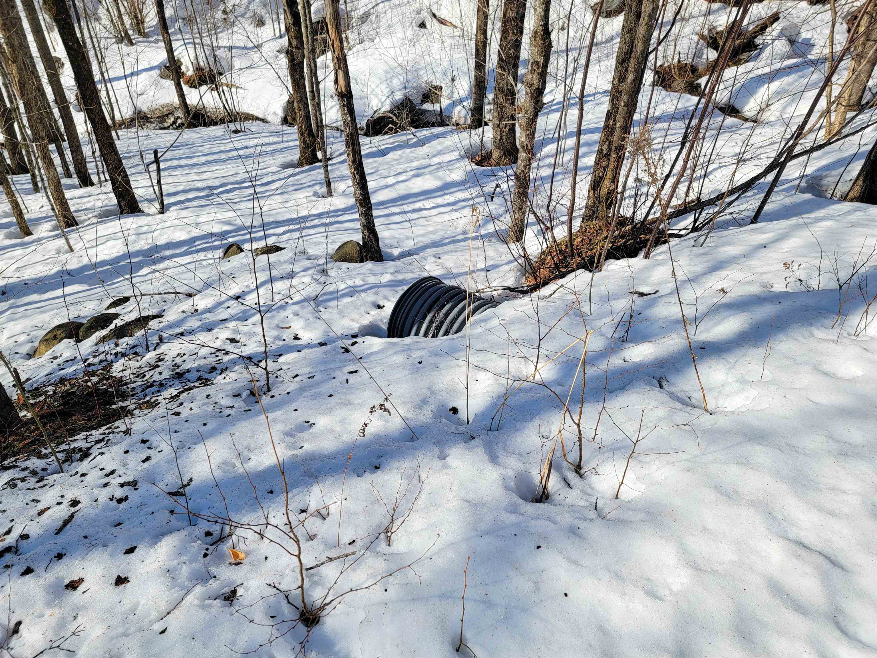 4166 Mines Road Property Photo 50