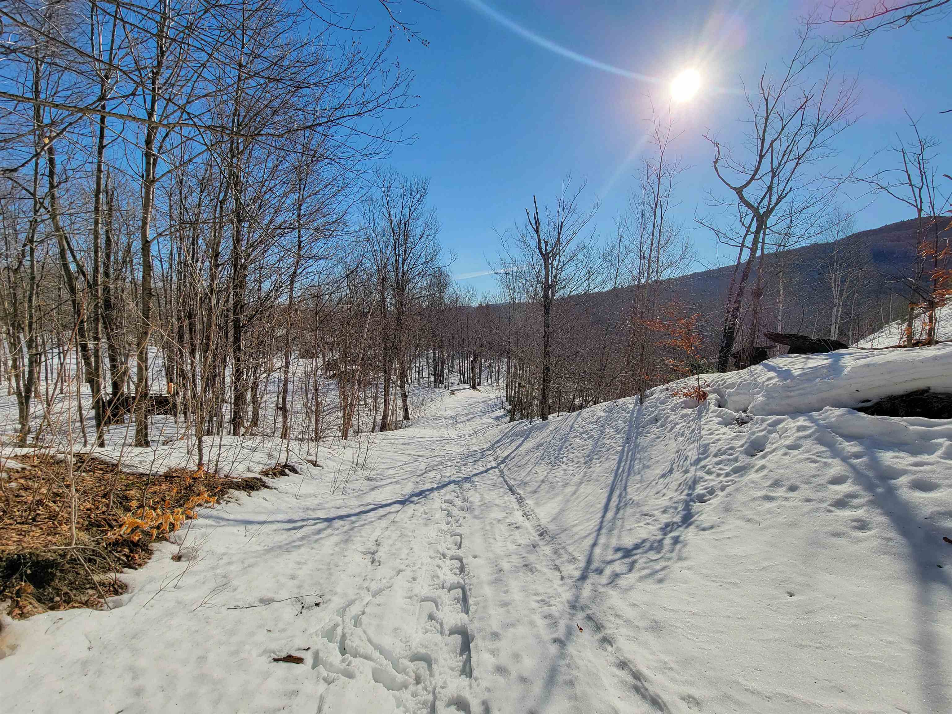 4166 Mines Road Property Photo 51