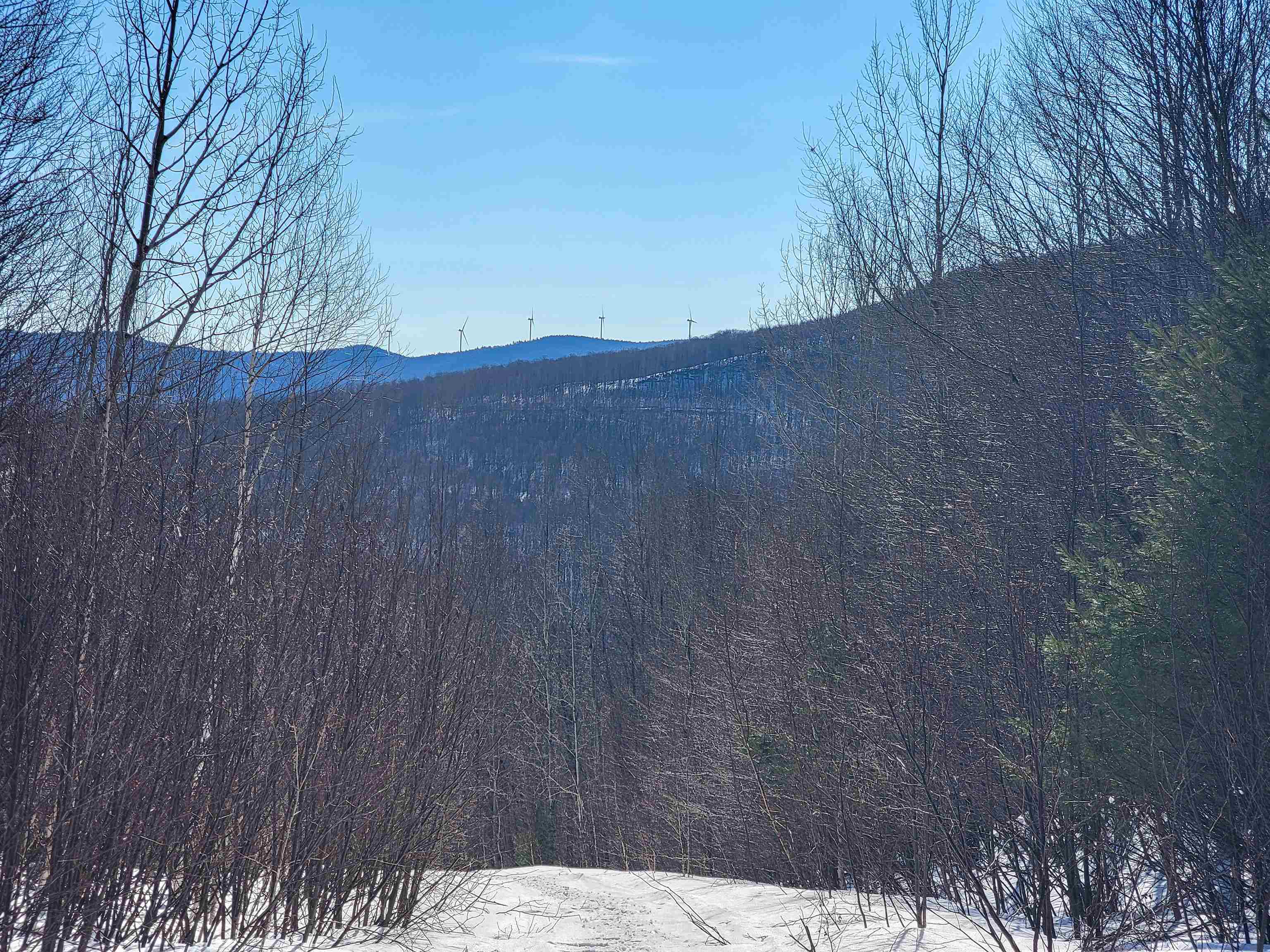 4166 Mines Road Property Photo 55