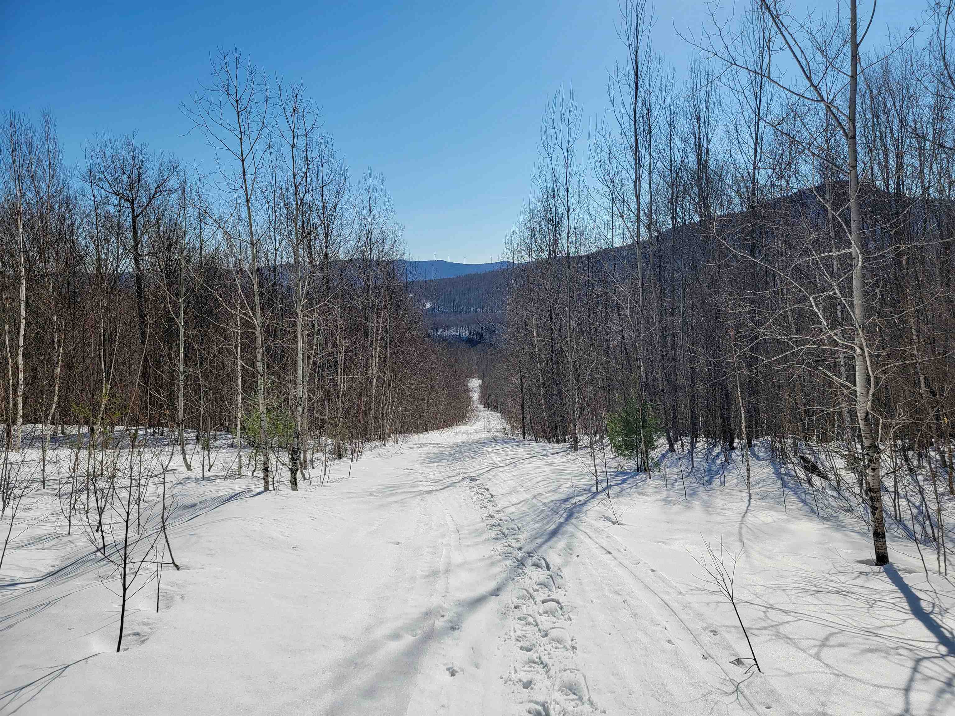 4166 Mines Road Property Photo 56