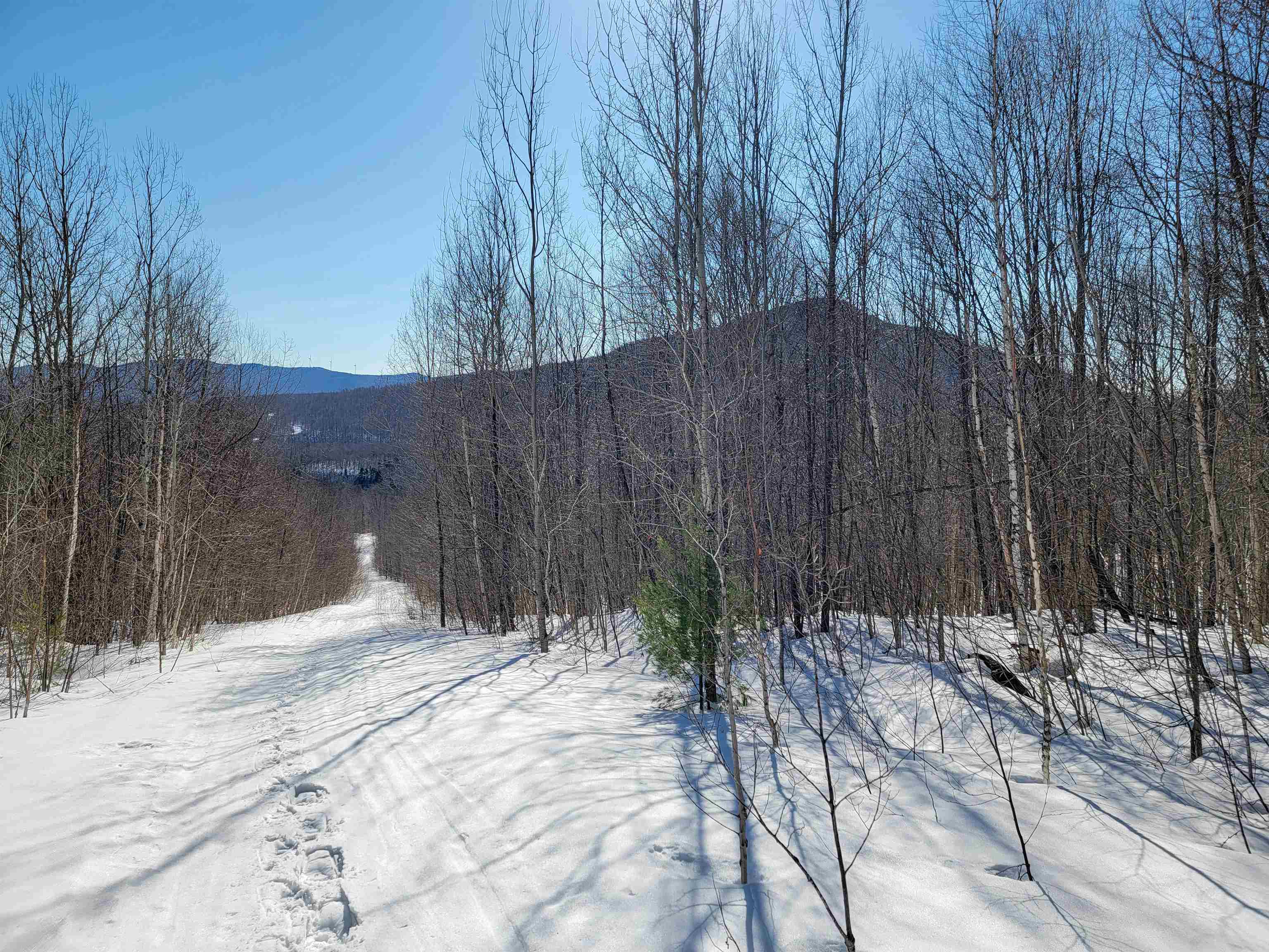 4166 Mines Road Property Photo 57