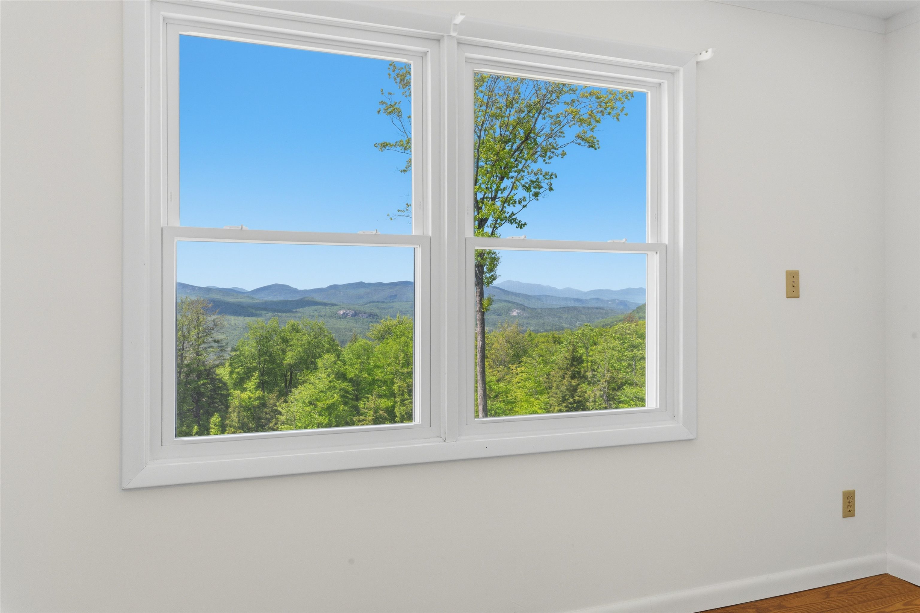 84 Cormack Drive Property Photo 25
