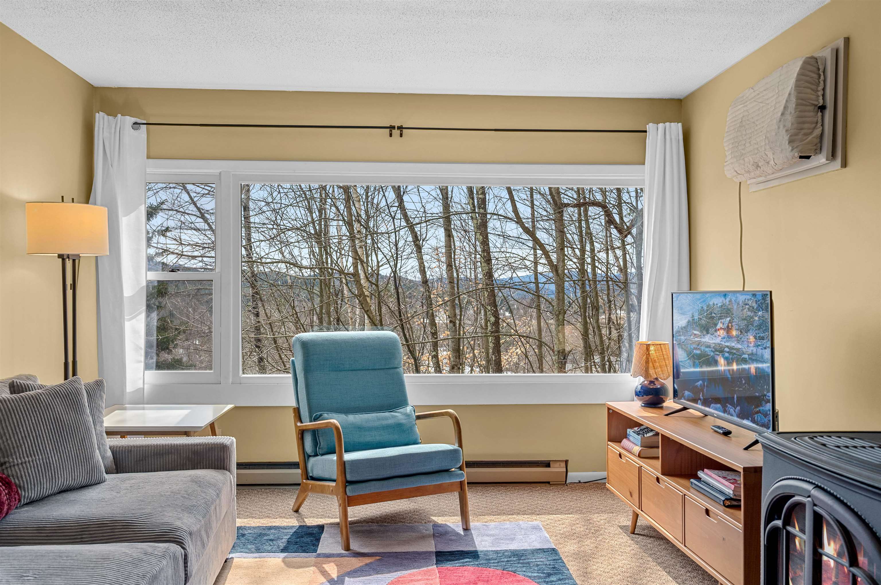 220 Mountainside Drive Property Photo 1