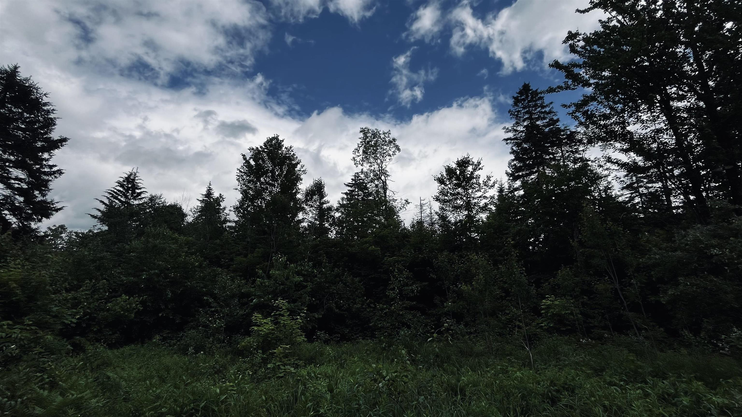 1606 Town Farm Road Property Photo 51