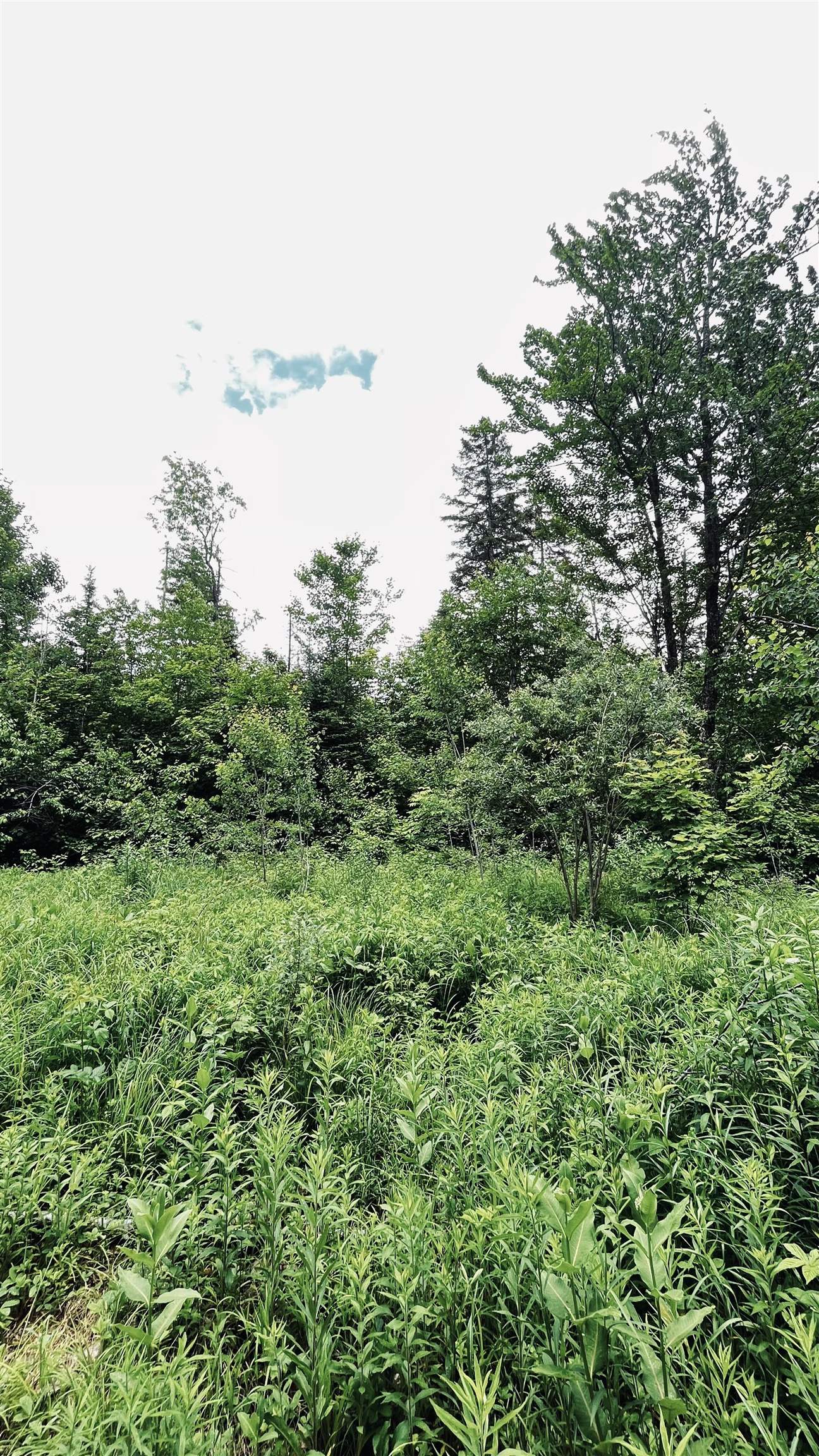 1606 Town Farm Road Property Photo 54