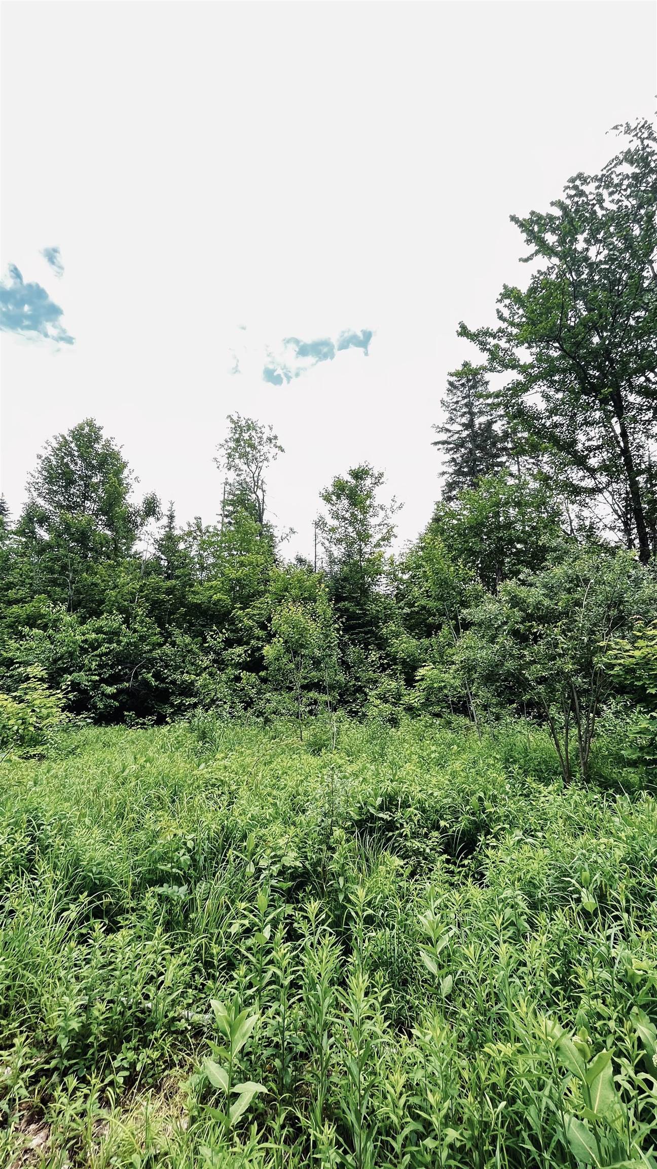 1606 Town Farm Road Property Photo 57