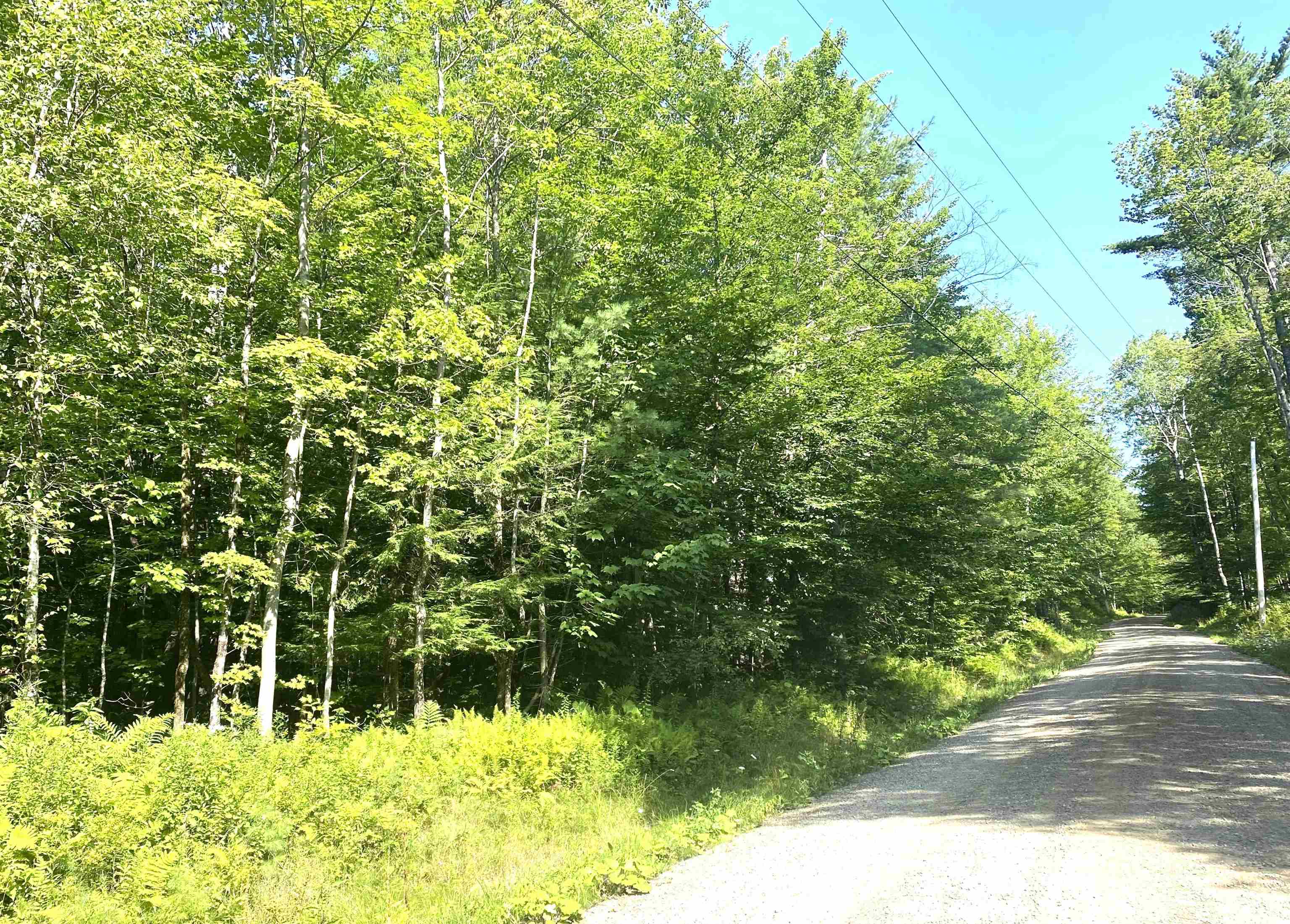 00 North Branch Road Property Photo 1