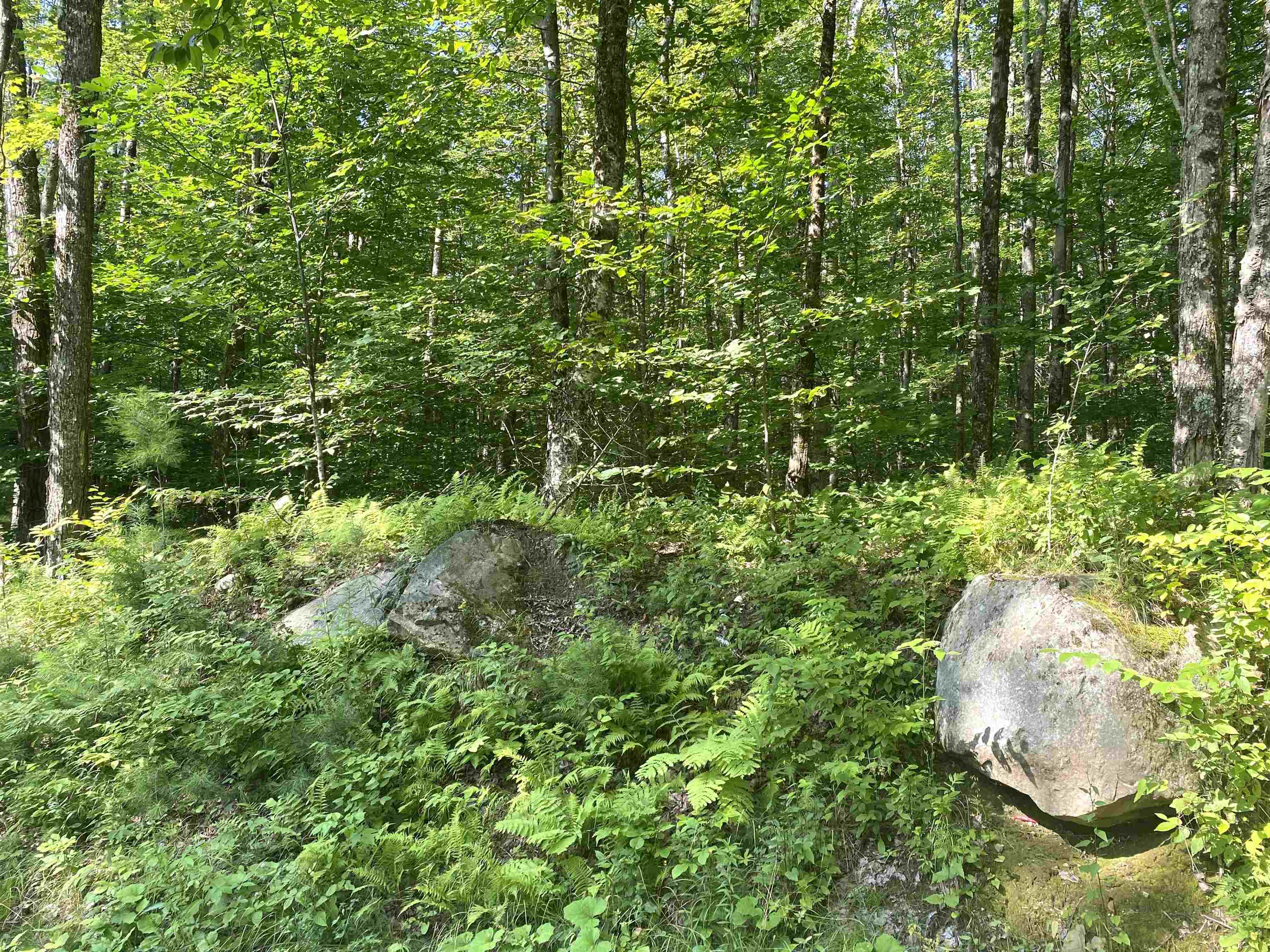 00 North Branch Road Property Photo 3