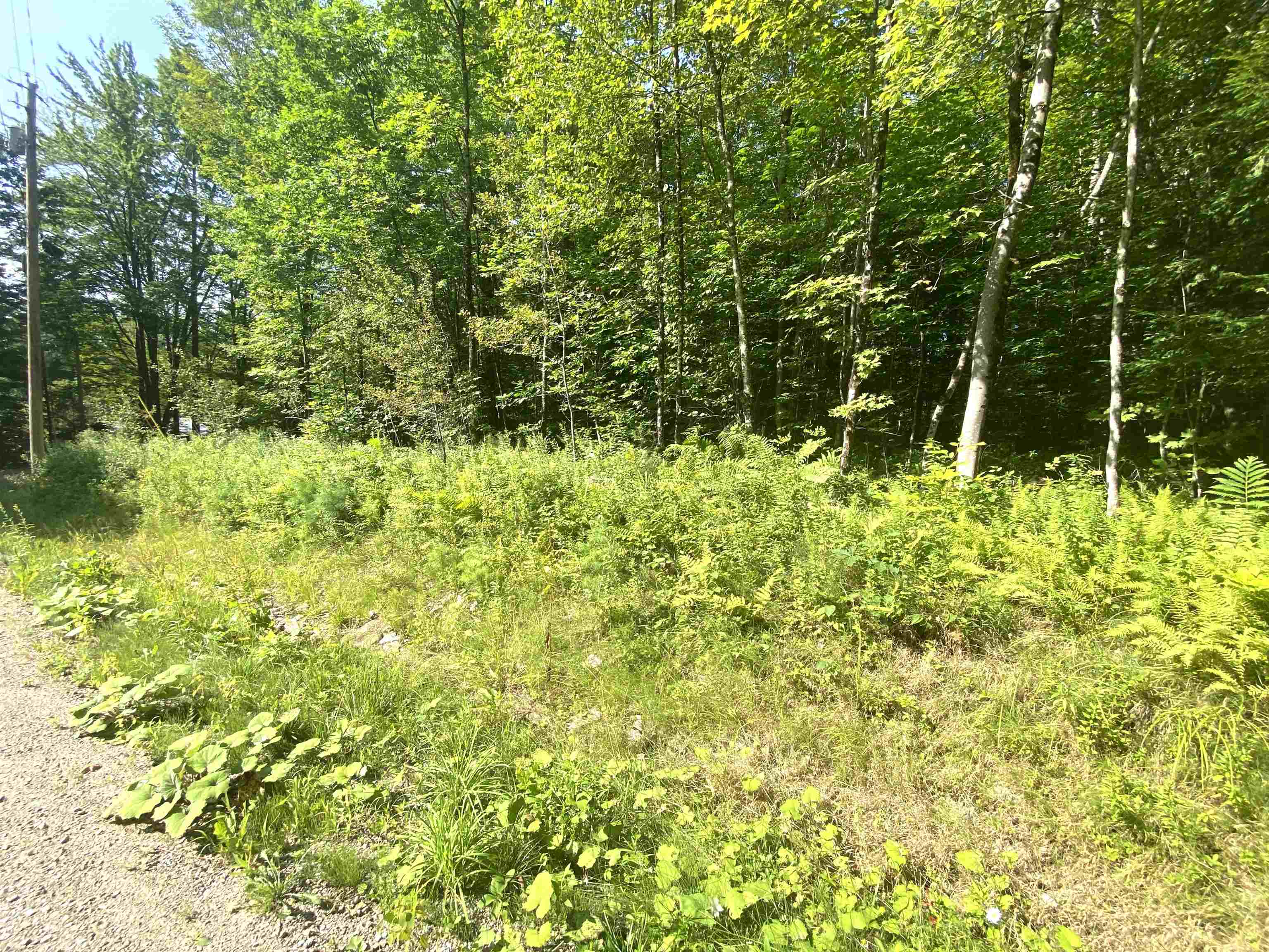 00 North Branch Road Property Photo 7