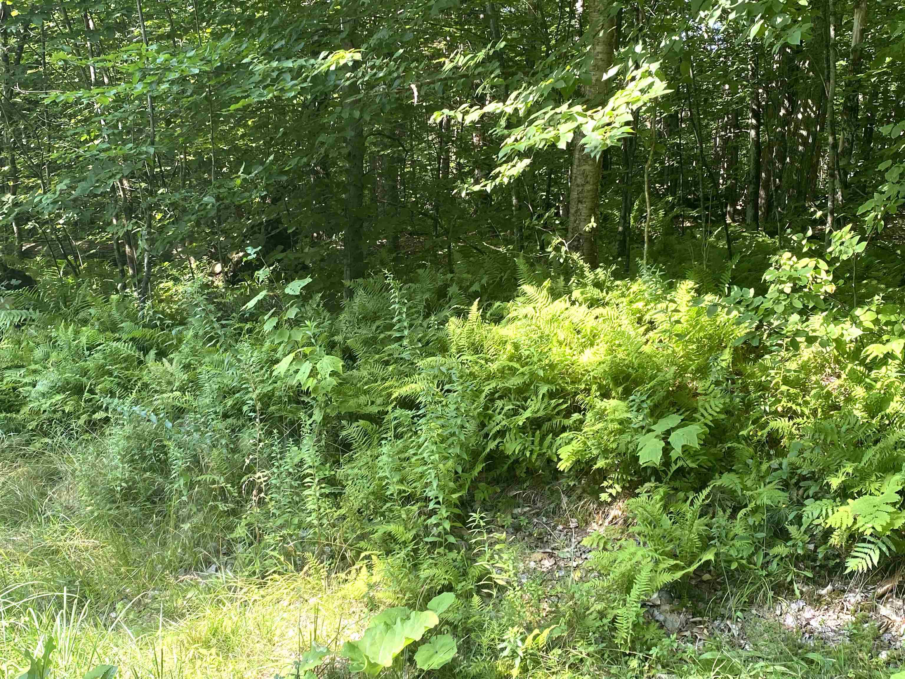 00 North Branch Road Property Photo 11
