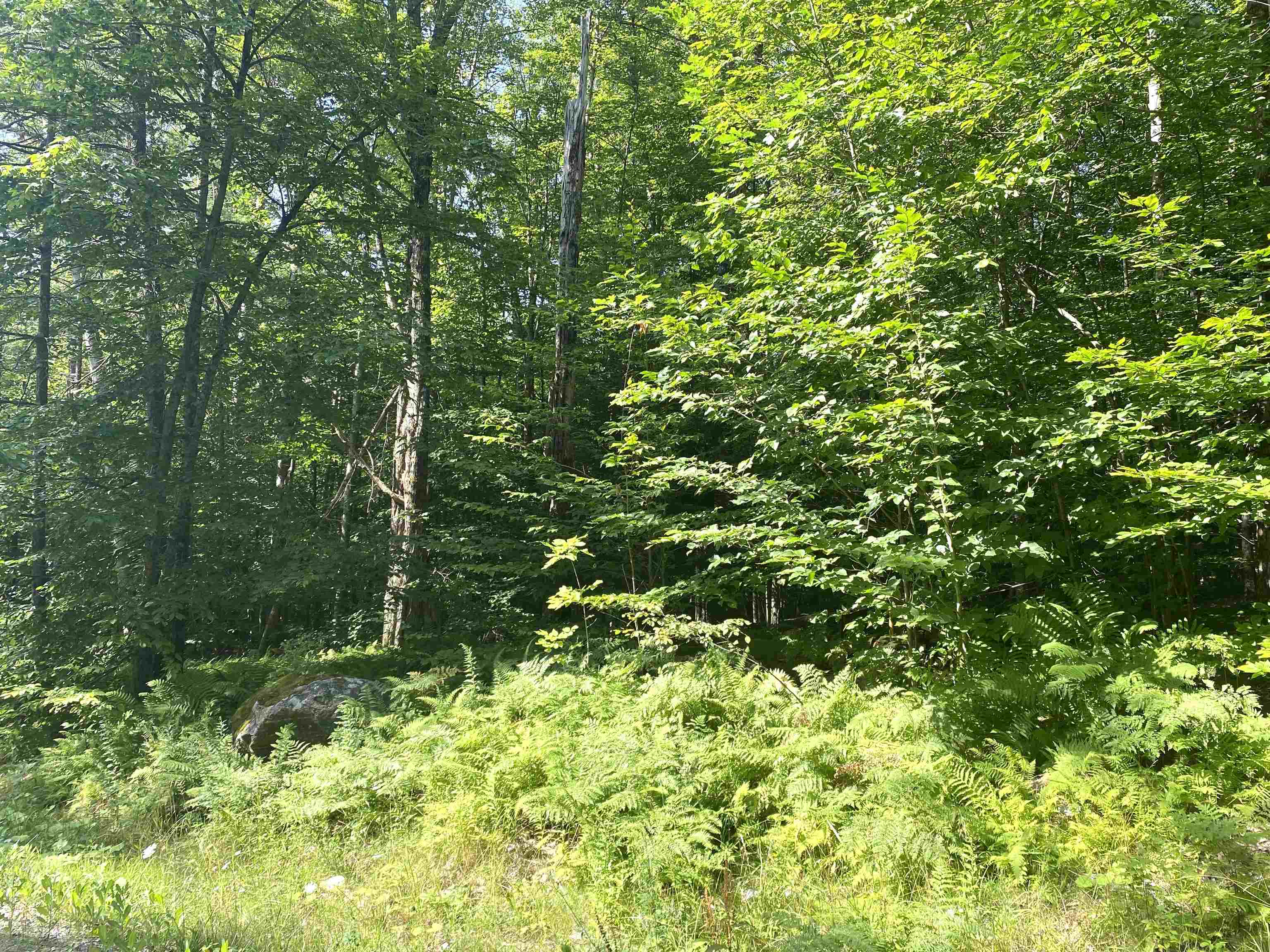 00 North Branch Road Property Photo 13