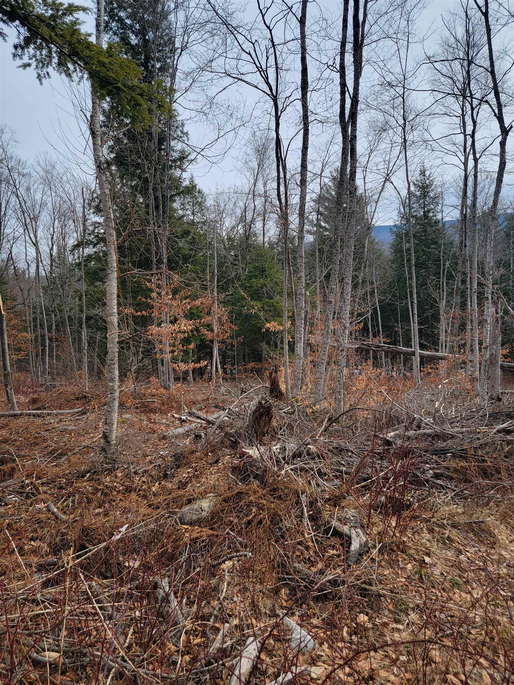80 Crossover Road Property Photo 2