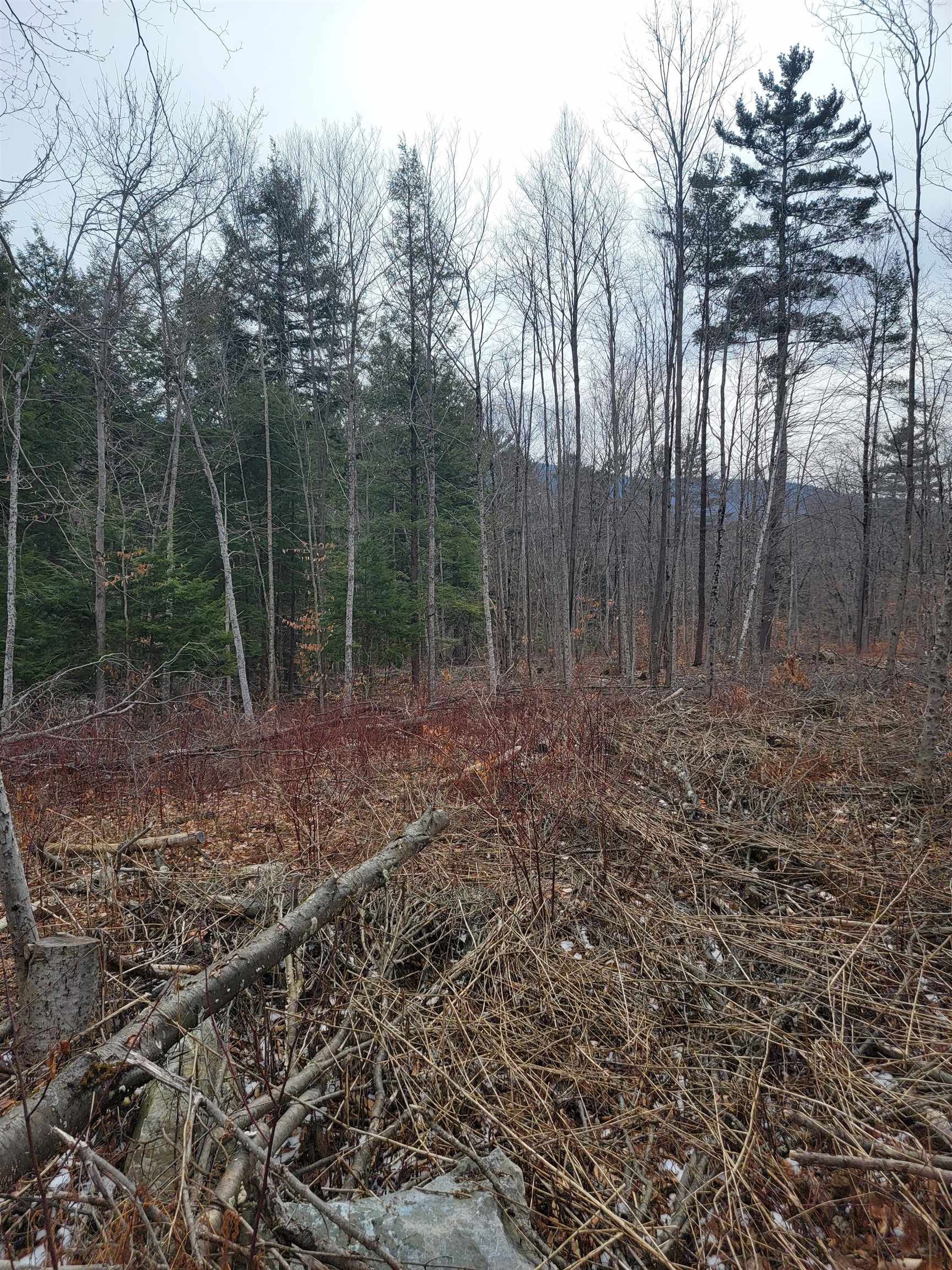 80 Crossover Road Property Photo 3