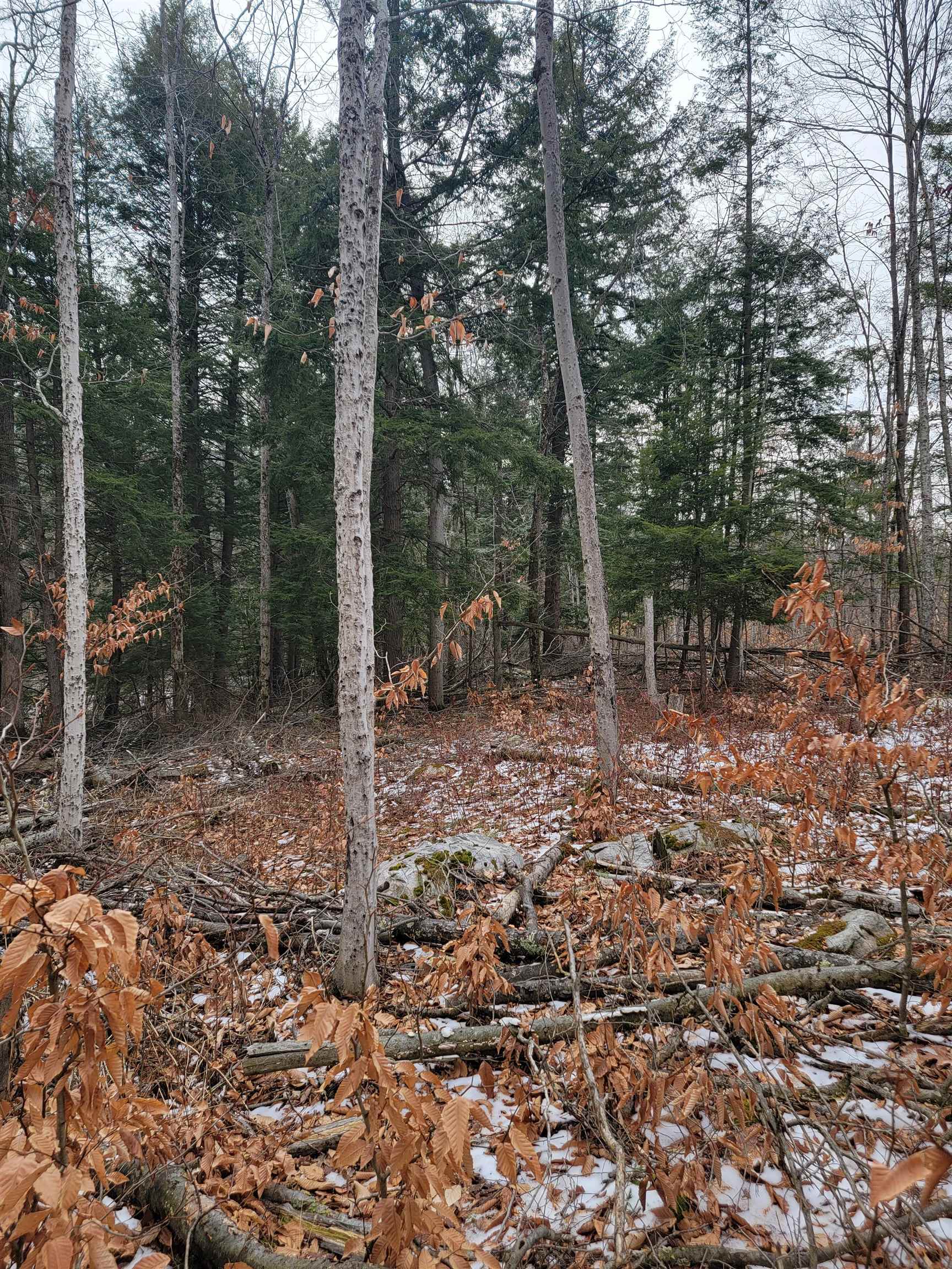 80 Crossover Road Property Photo 4