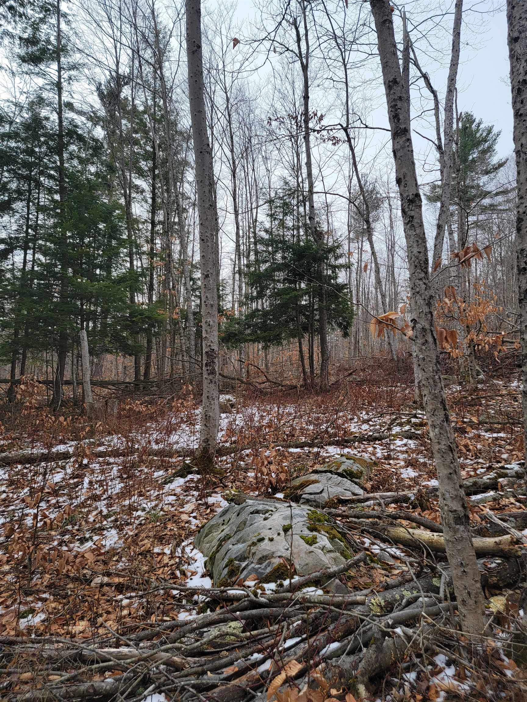 80 Crossover Road Property Photo 5