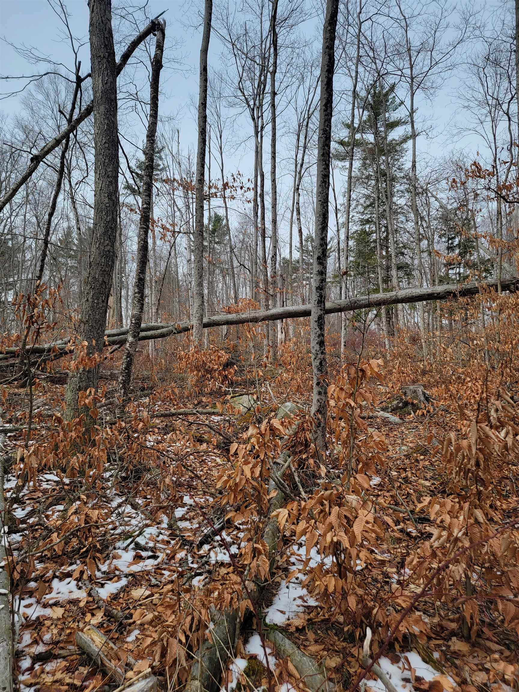 80 Crossover Road Property Photo 6