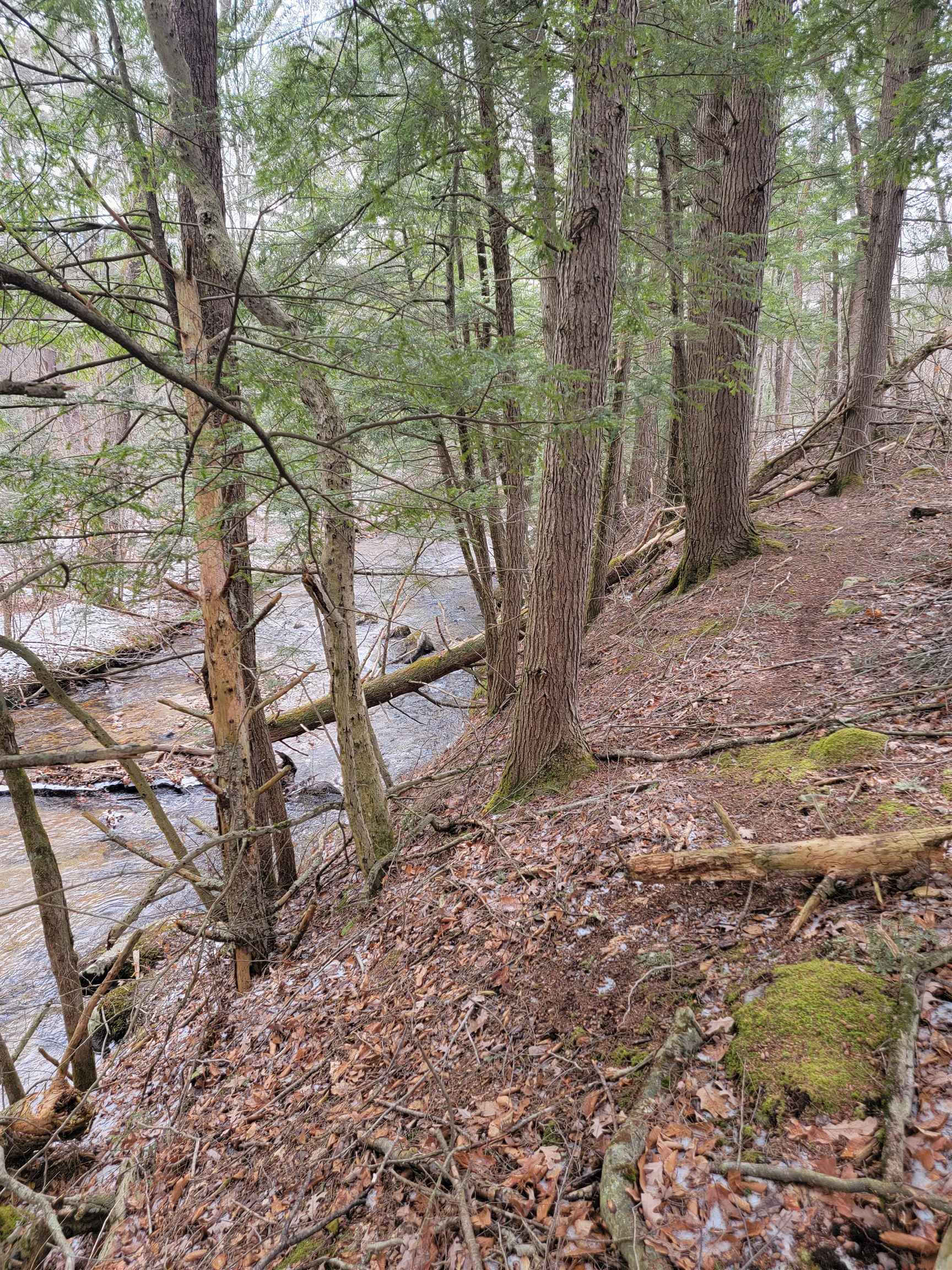 80 Crossover Road Property Photo 7