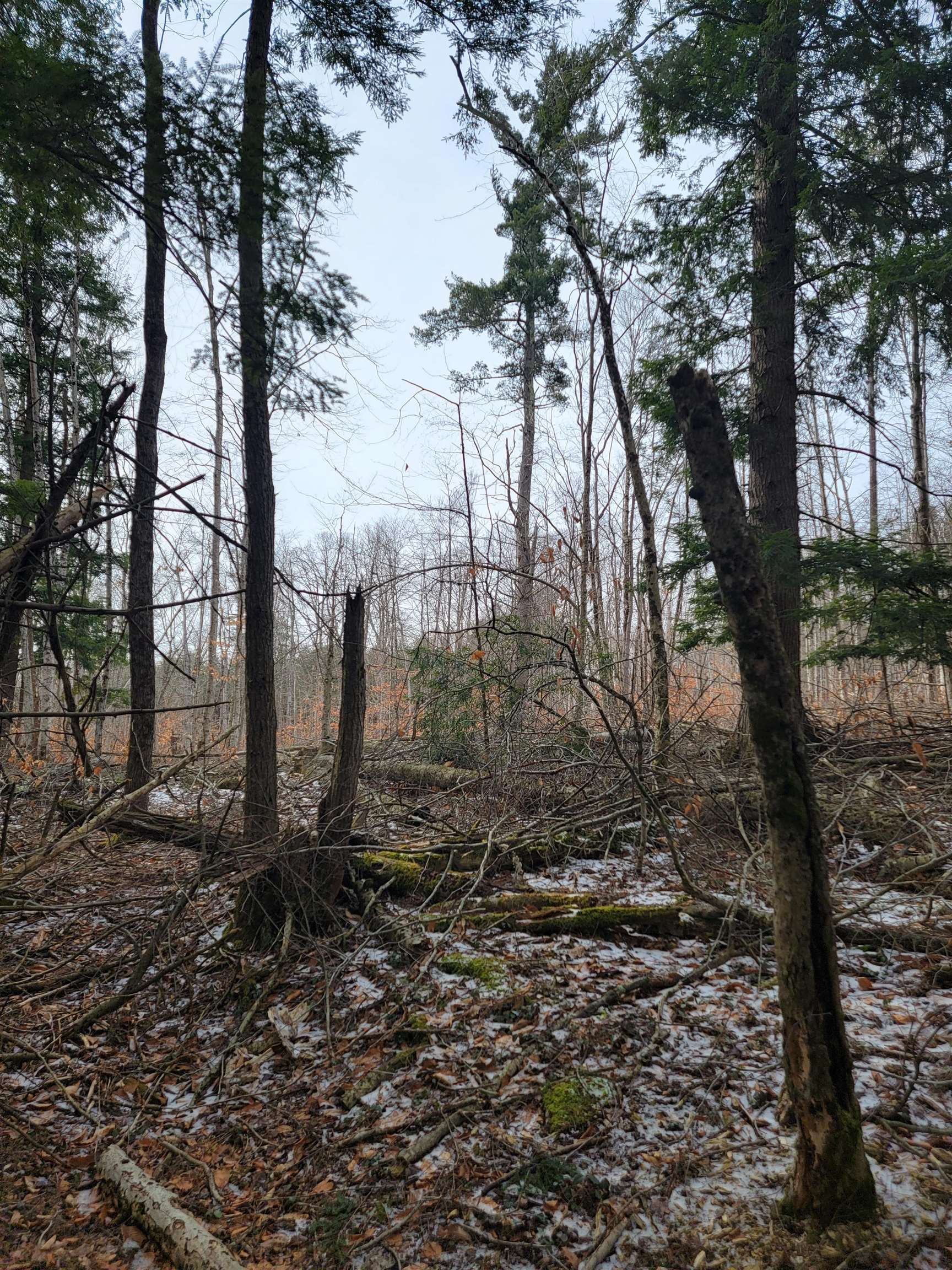 80 Crossover Road Property Photo 8