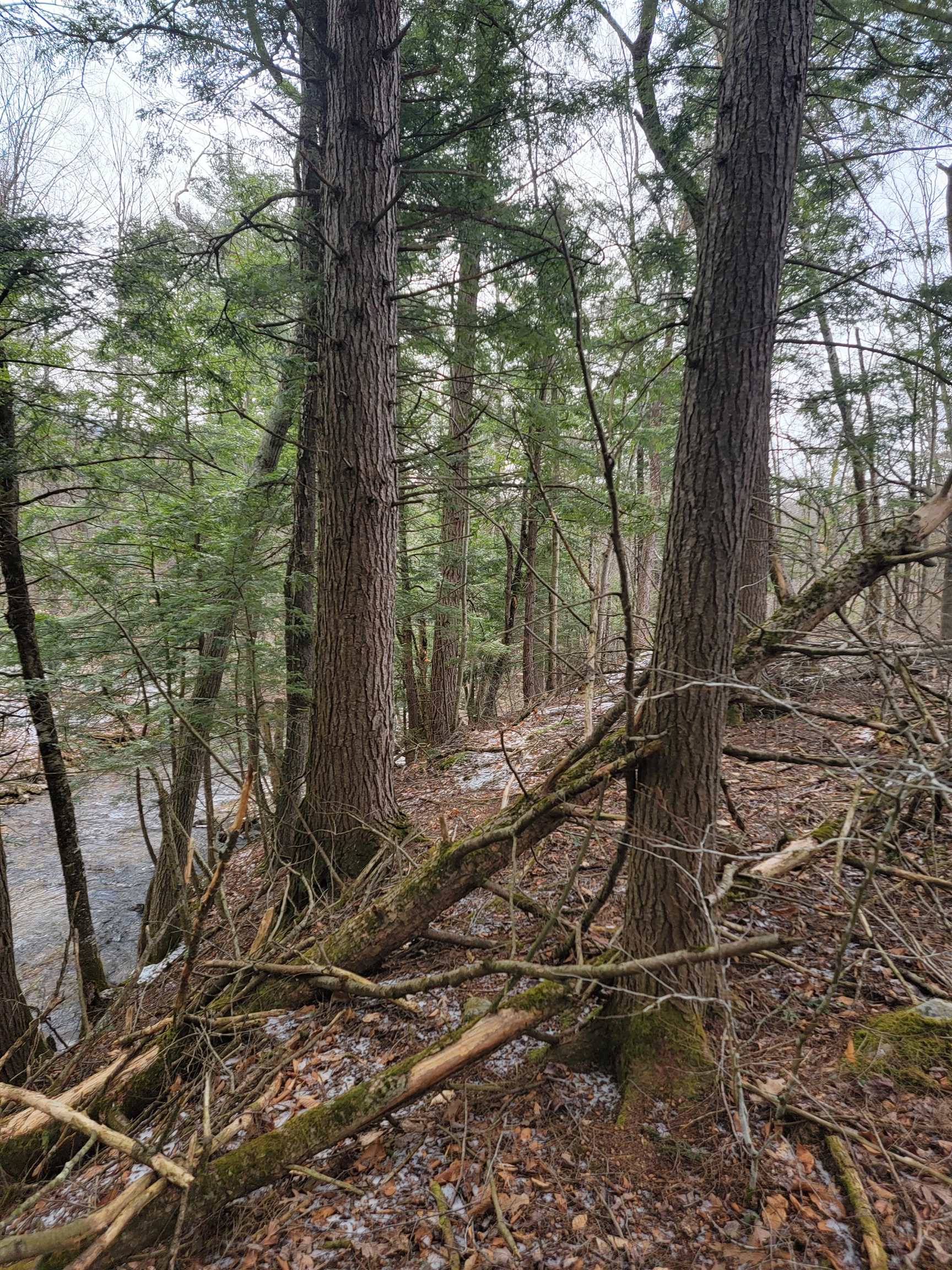 80 Crossover Road Property Photo 9