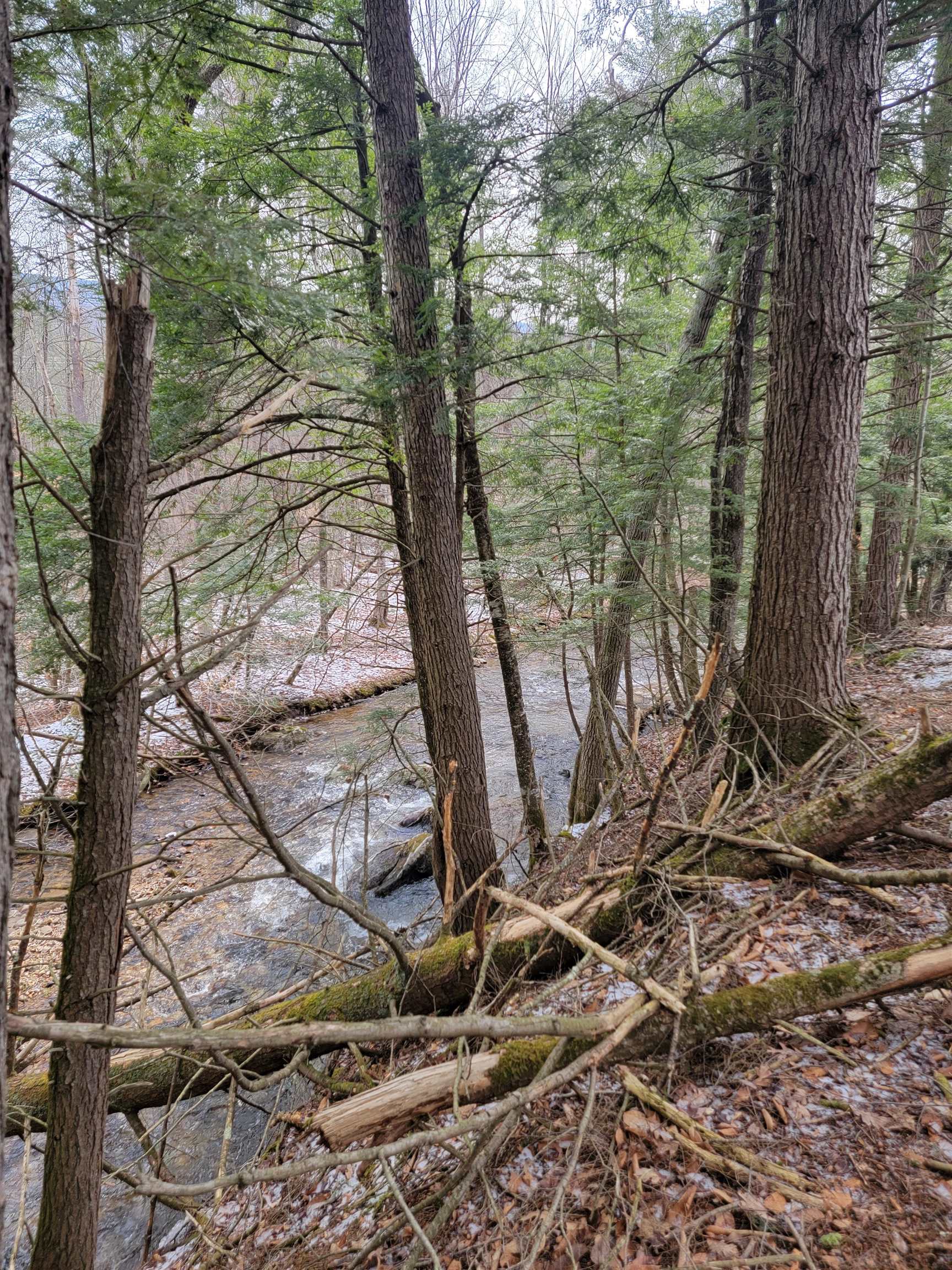 80 Crossover Road Property Photo 10