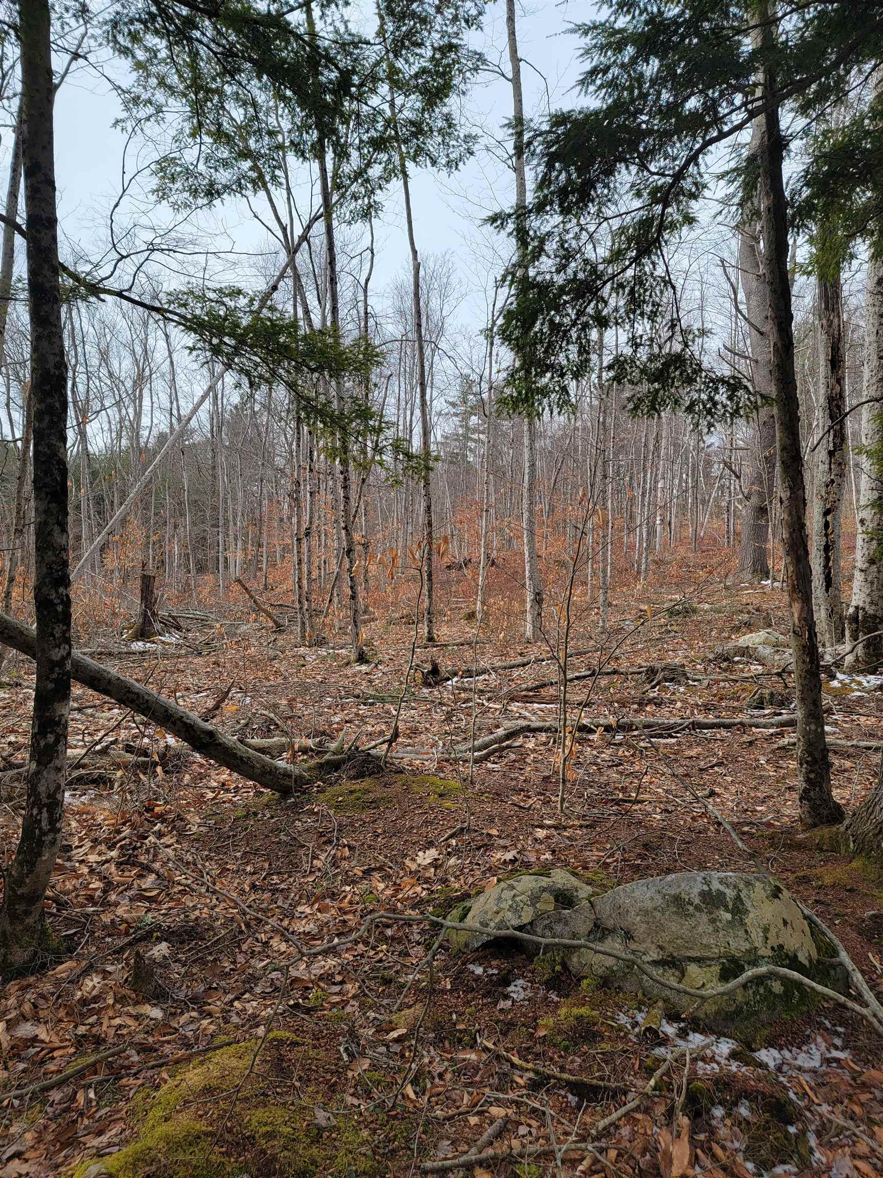80 Crossover Road Property Photo 11