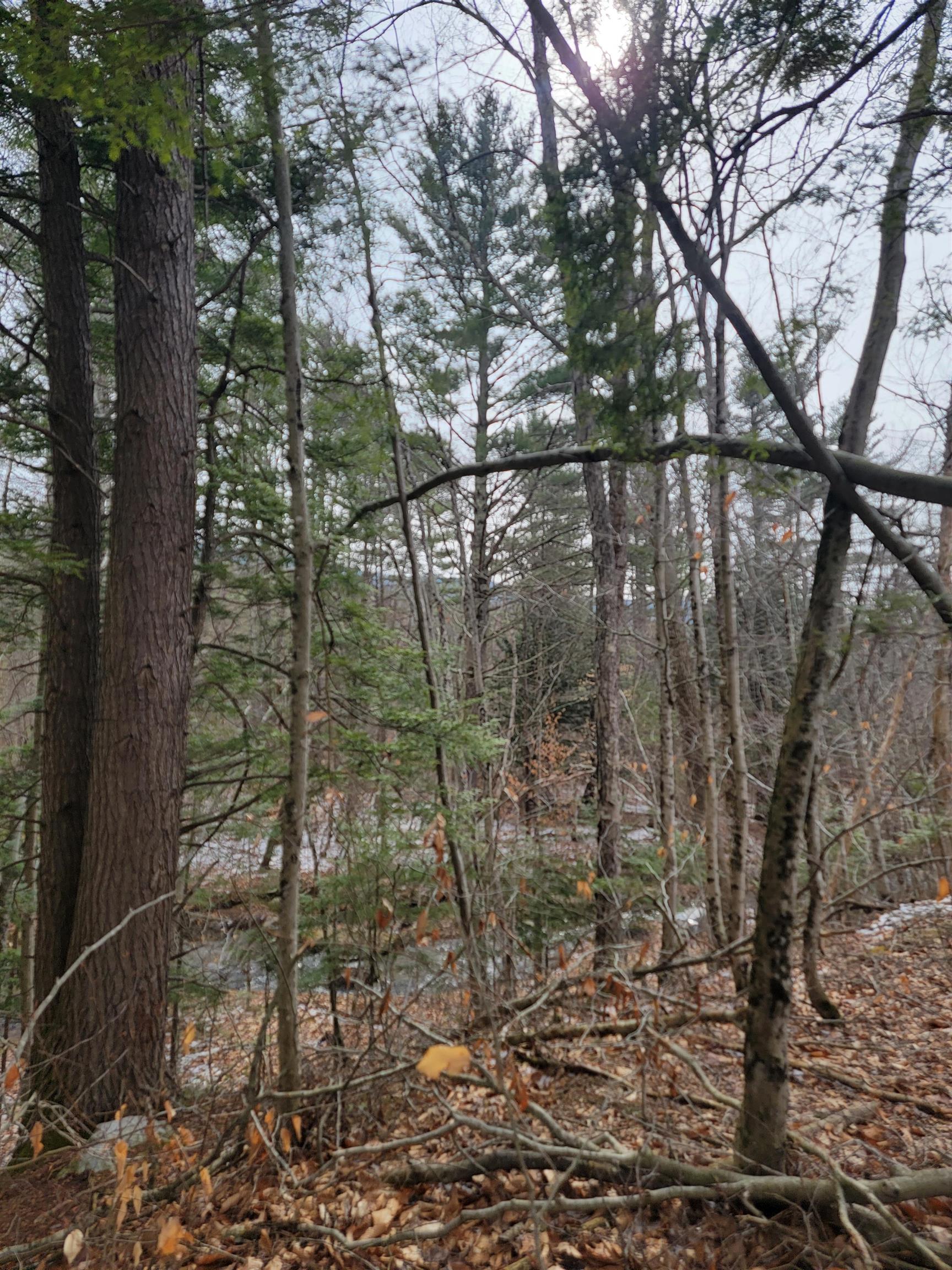 80 Crossover Road Property Photo 12