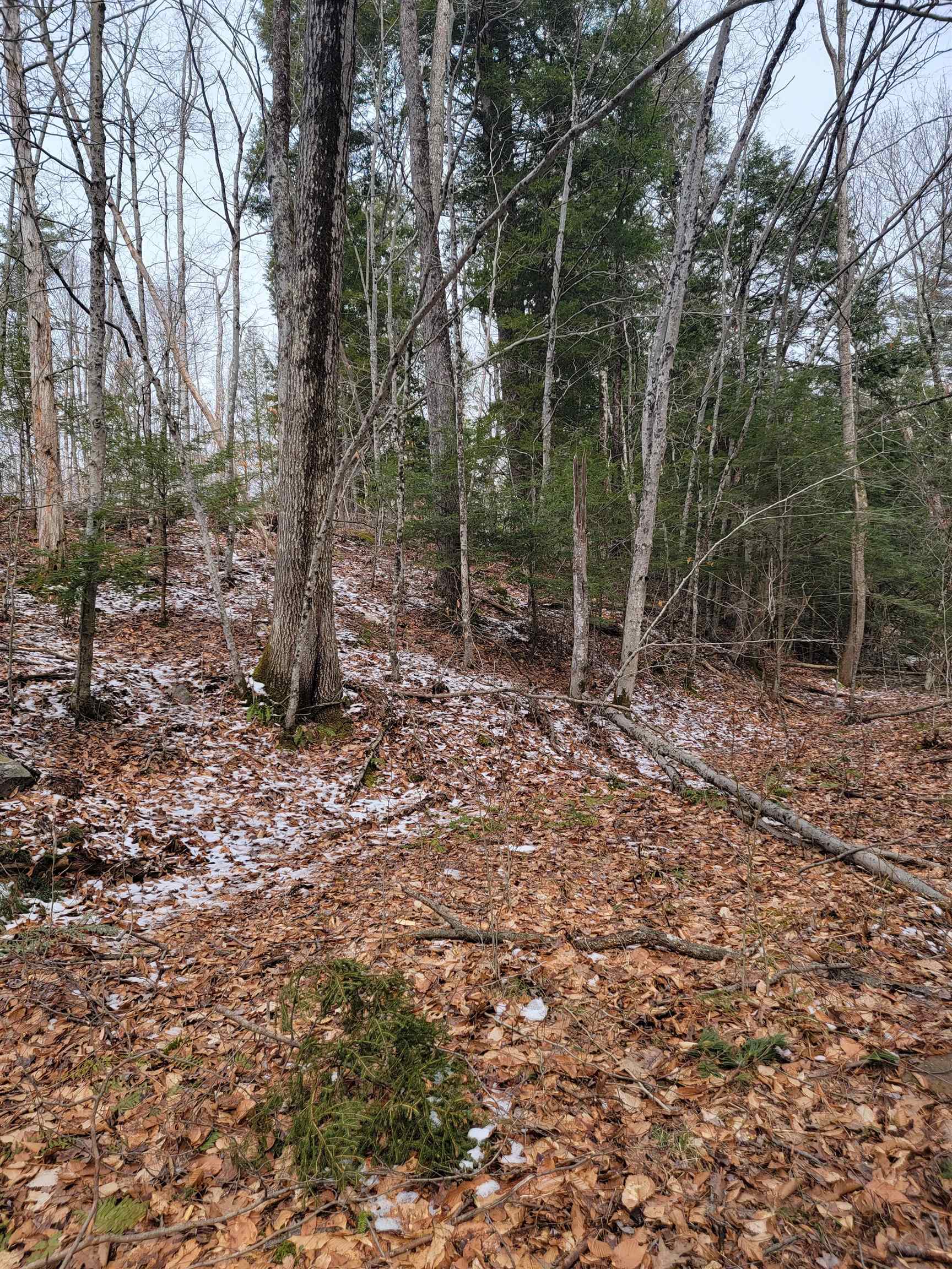 80 Crossover Road Property Photo 13