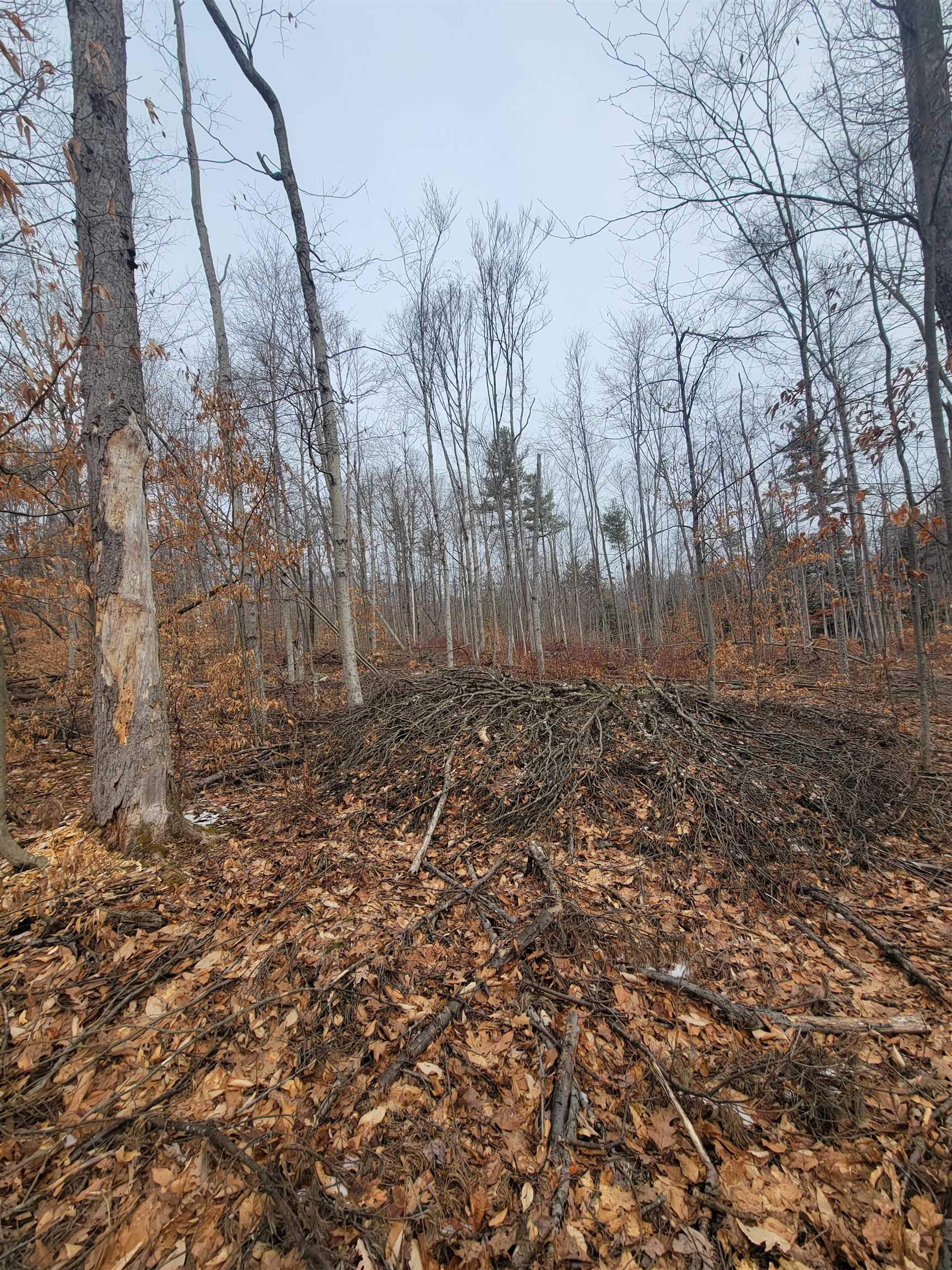 80 Crossover Road Property Photo 15