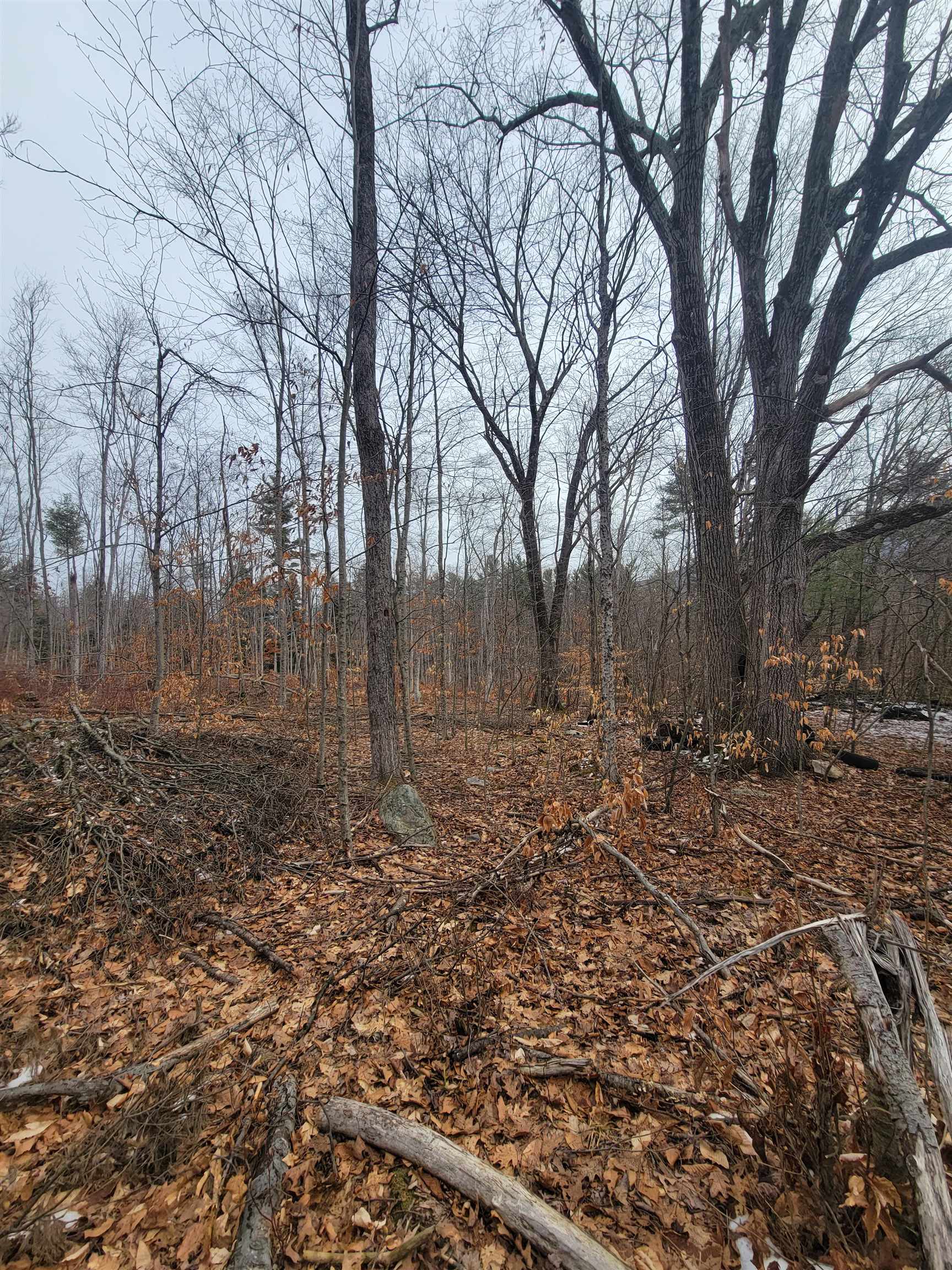 80 Crossover Road Property Photo 16