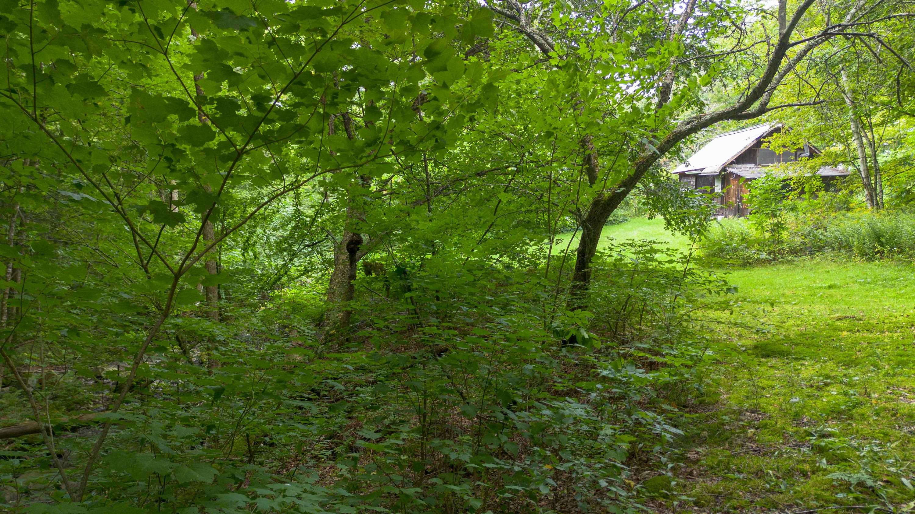 3465 Lamb Hill Road Property Photo 4