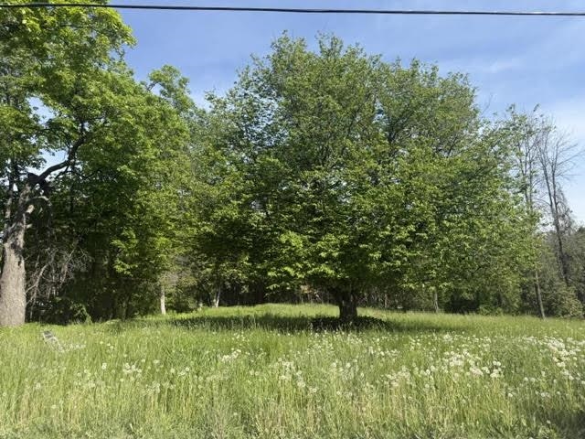 487 Country Club Road Property Photo 3