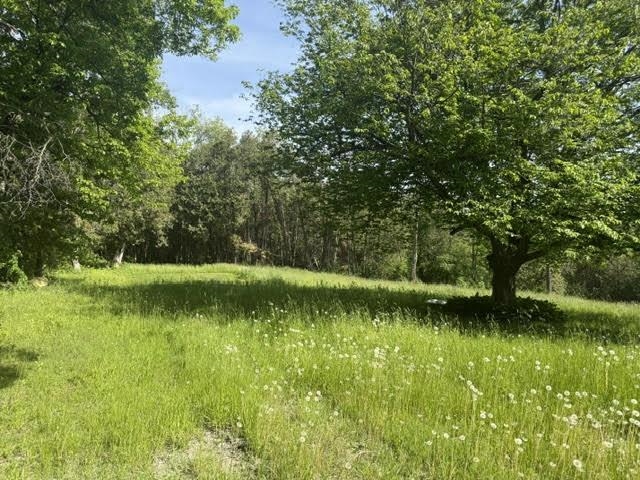 487 Country Club Road Property Photo 5