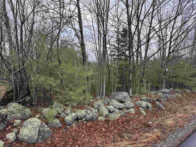 Tbd Mason Road Property Photo 1