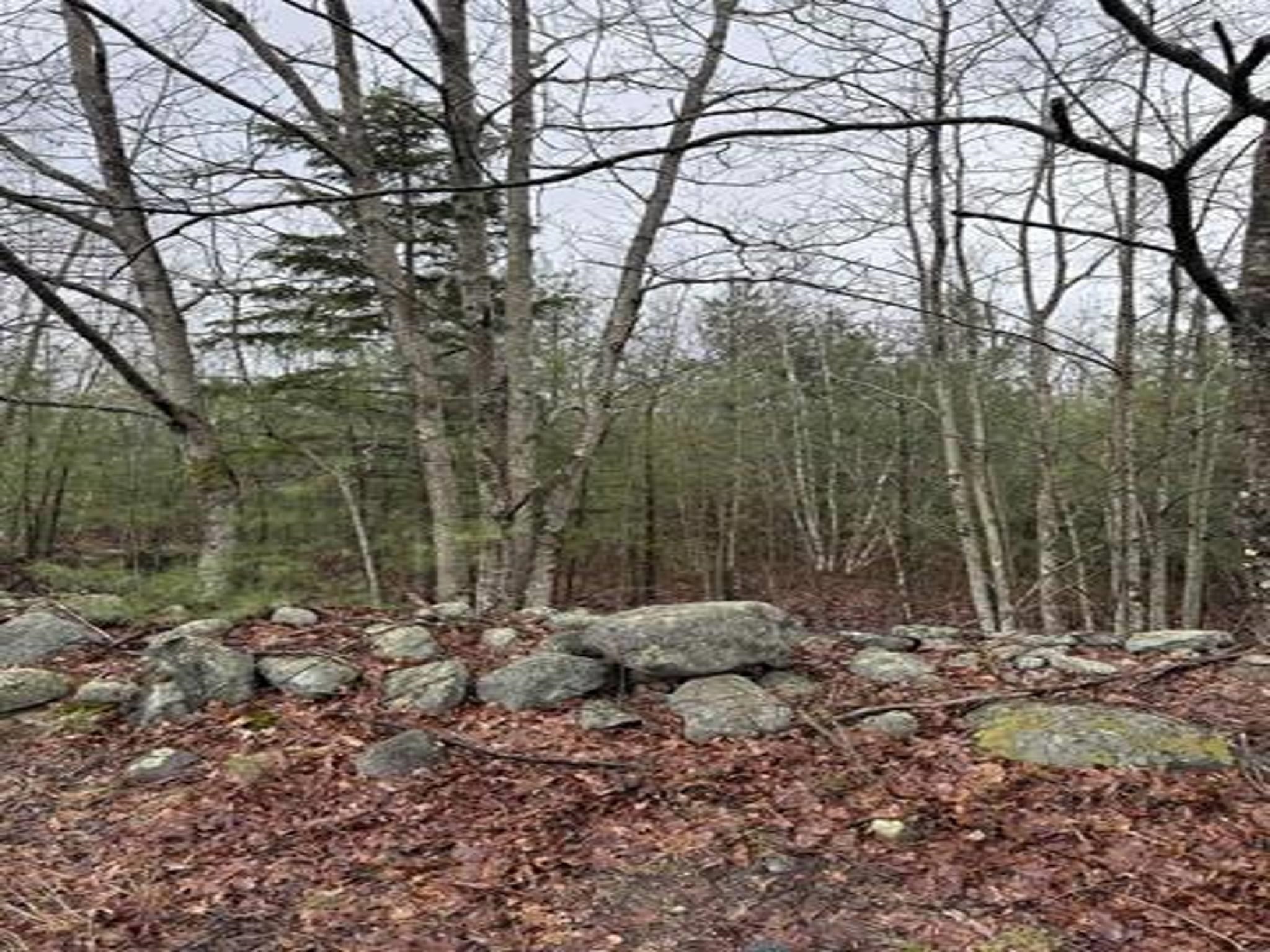 Tbd Mason Road Property Photo 2