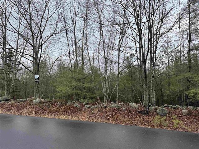 Tbd Mason Road Property Photo 5