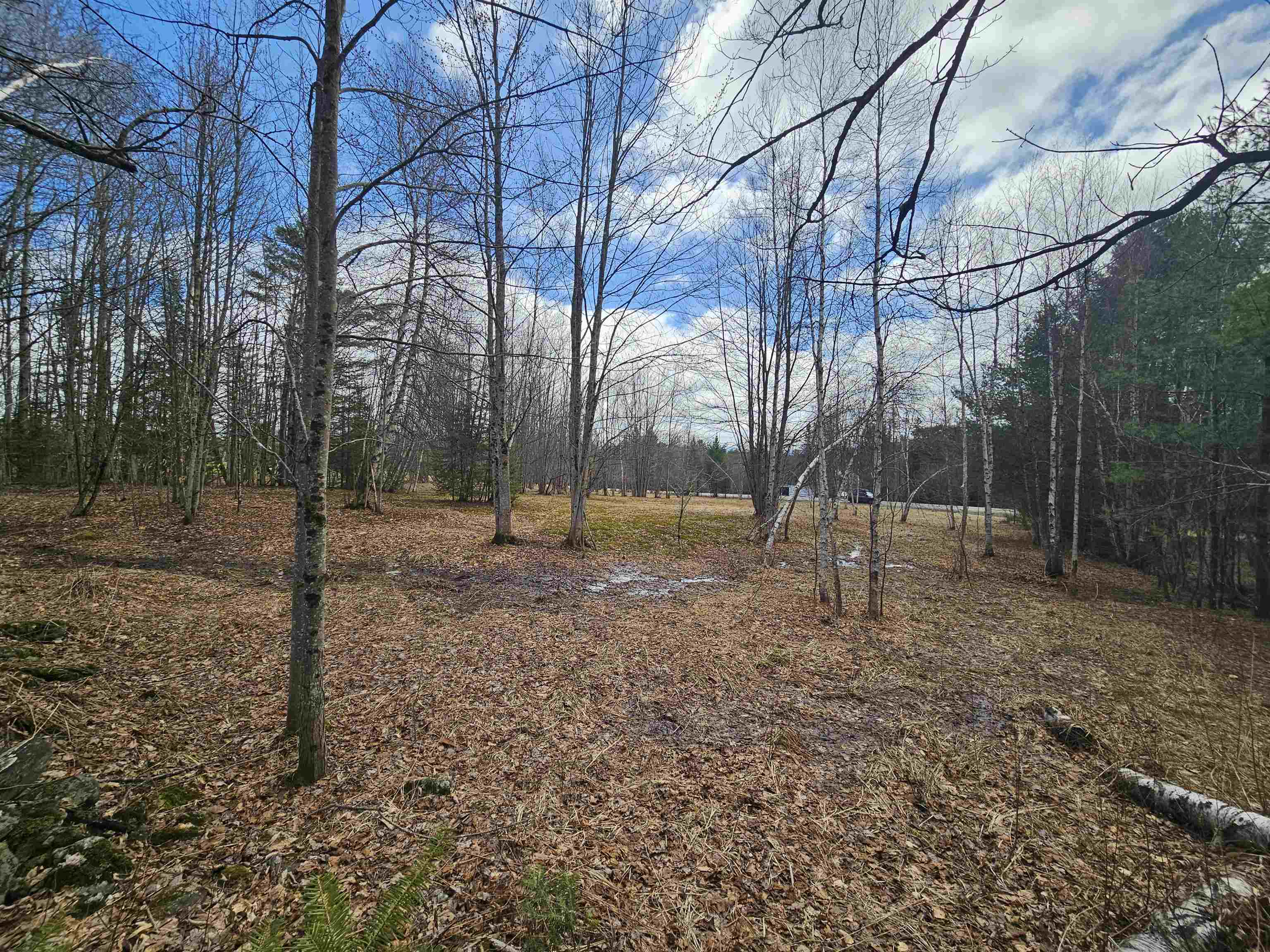 Tbd Dukes Road Property Photo 6