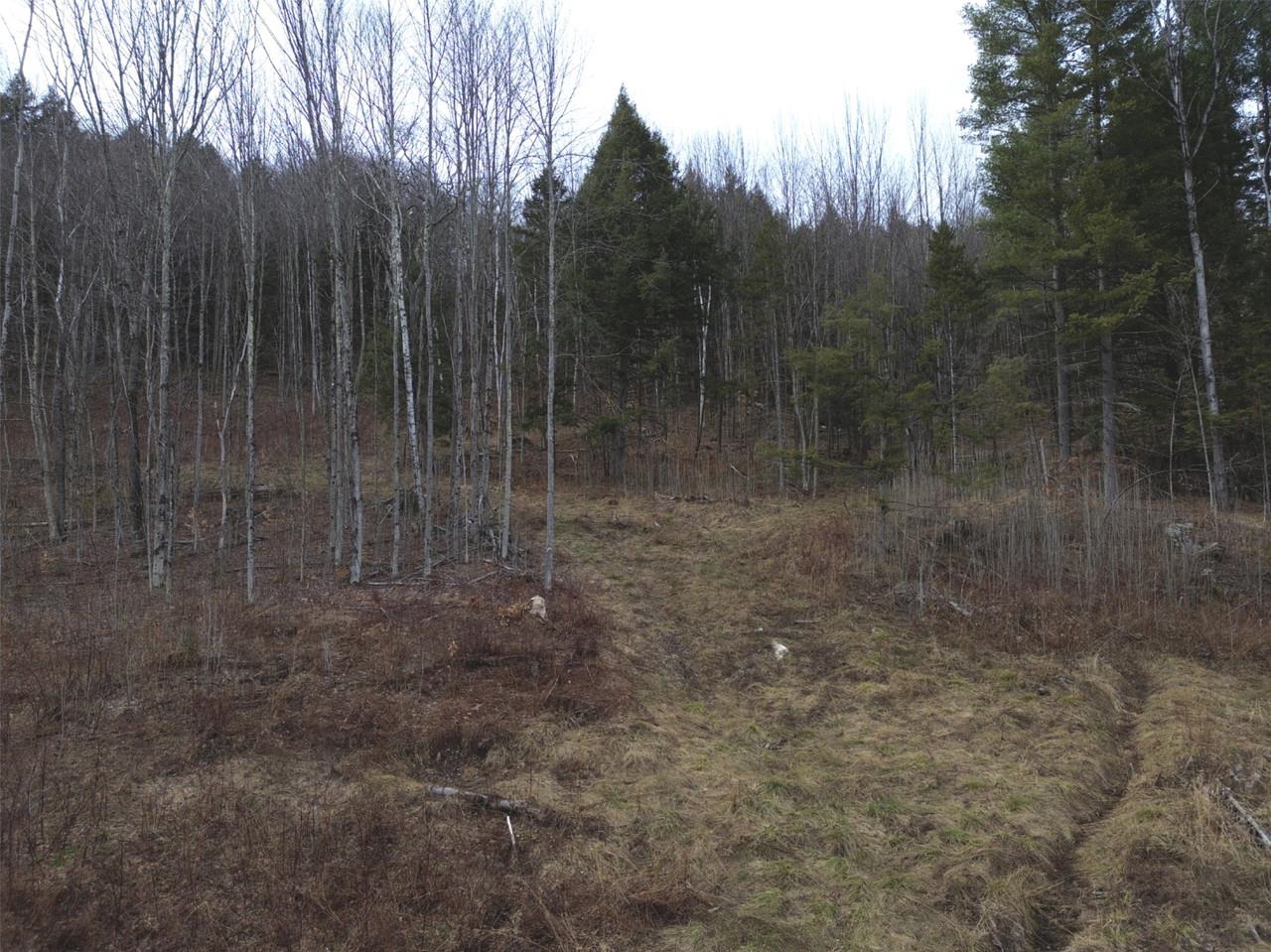 00 Bent Birch Lane Property Photo 4