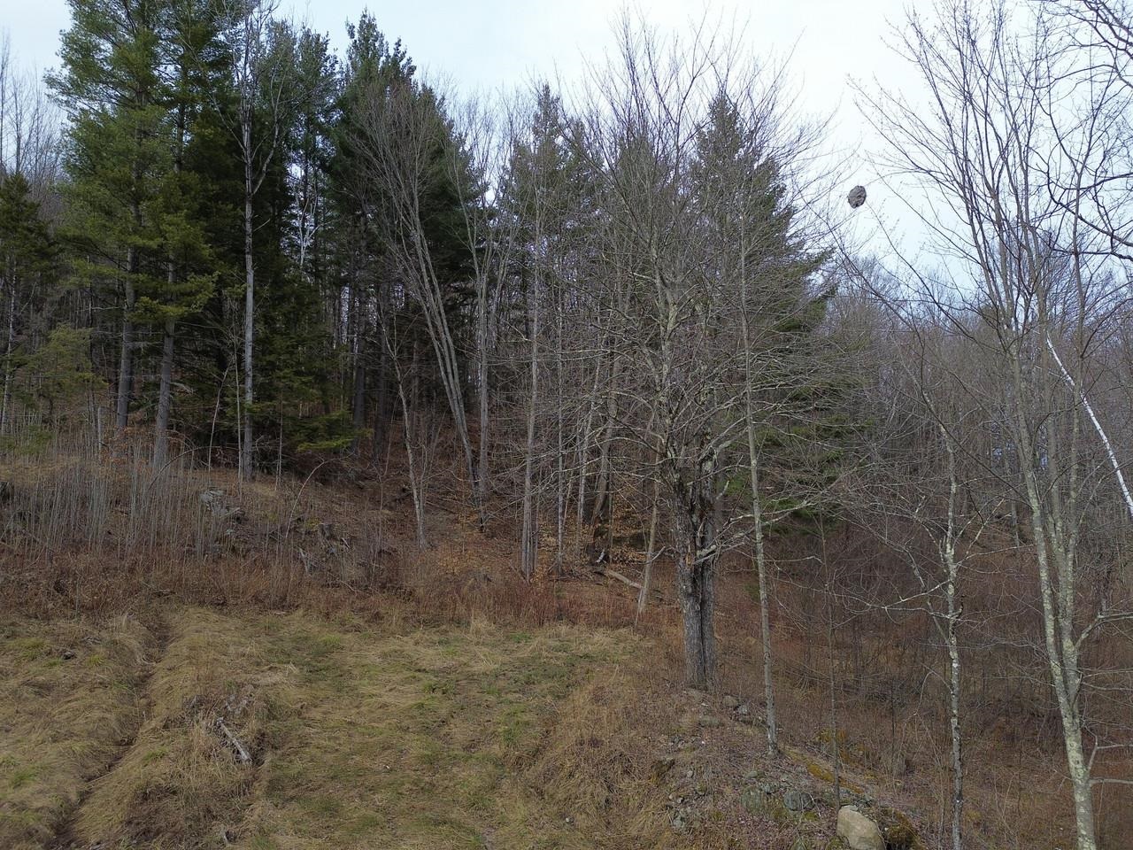 00 Bent Birch Lane Property Photo 8