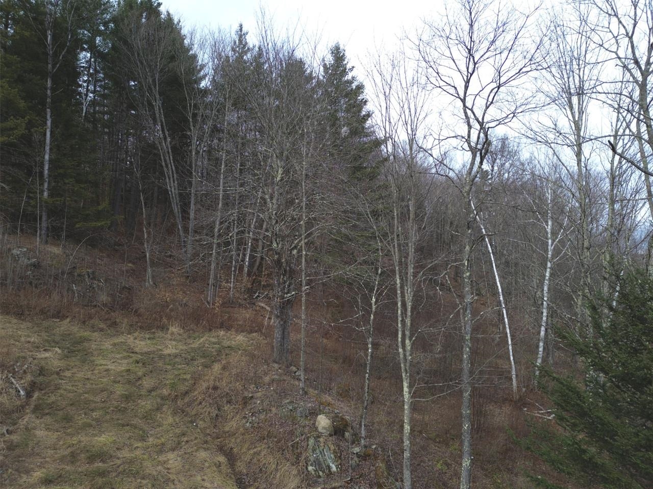 00 Bent Birch Lane Property Photo 11