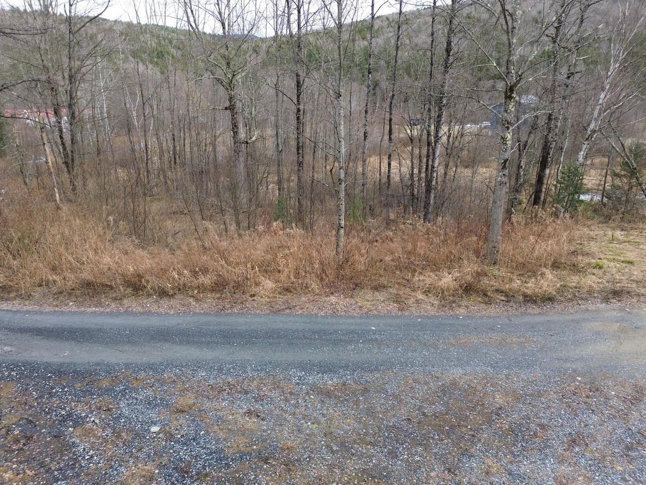 00 Bent Birch Lane Property Photo 15