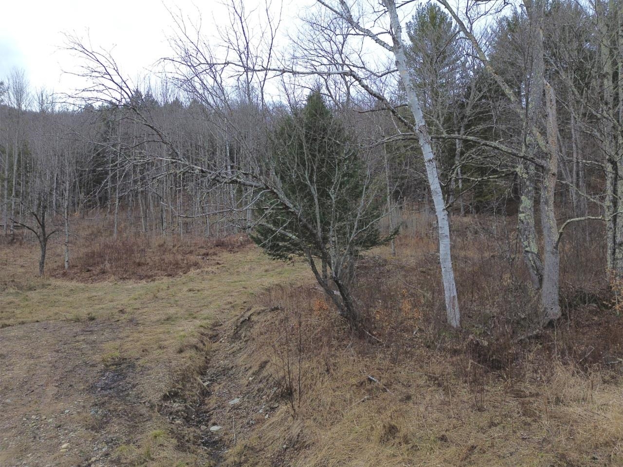 00 Bent Birch Lane Property Photo 18