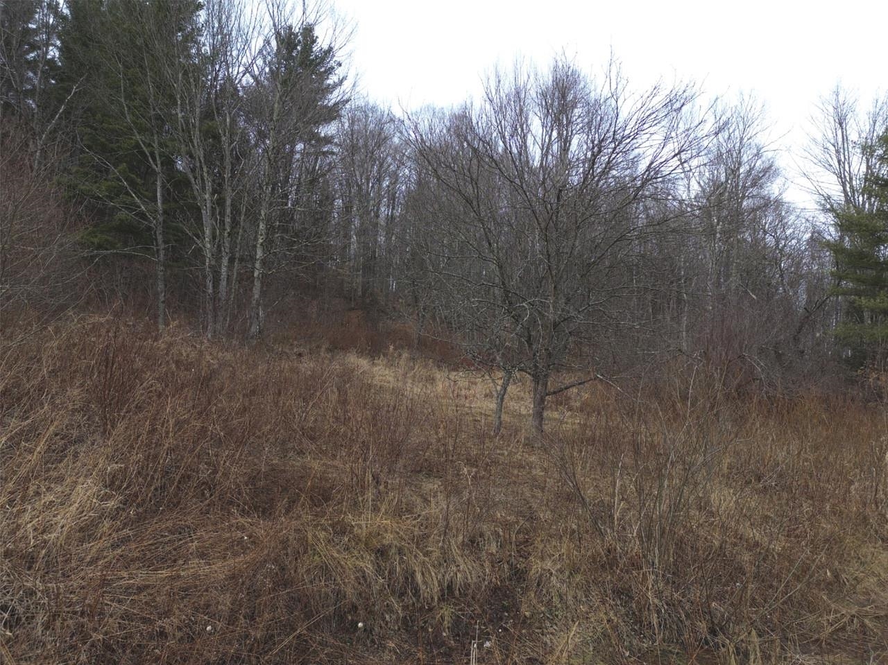 00 Bent Birch Lane Property Photo 20