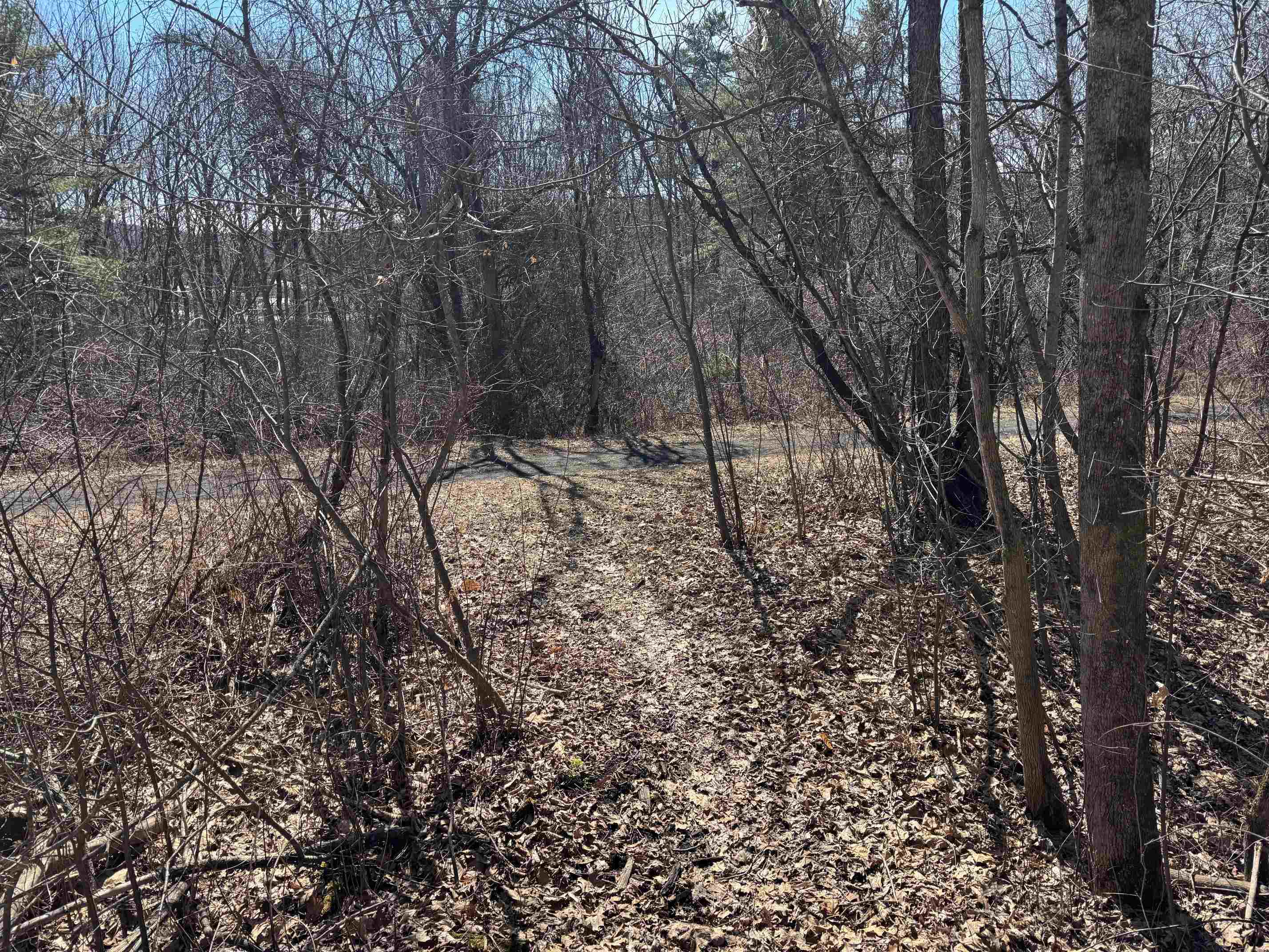 52 Farr Road Property Photo 46
