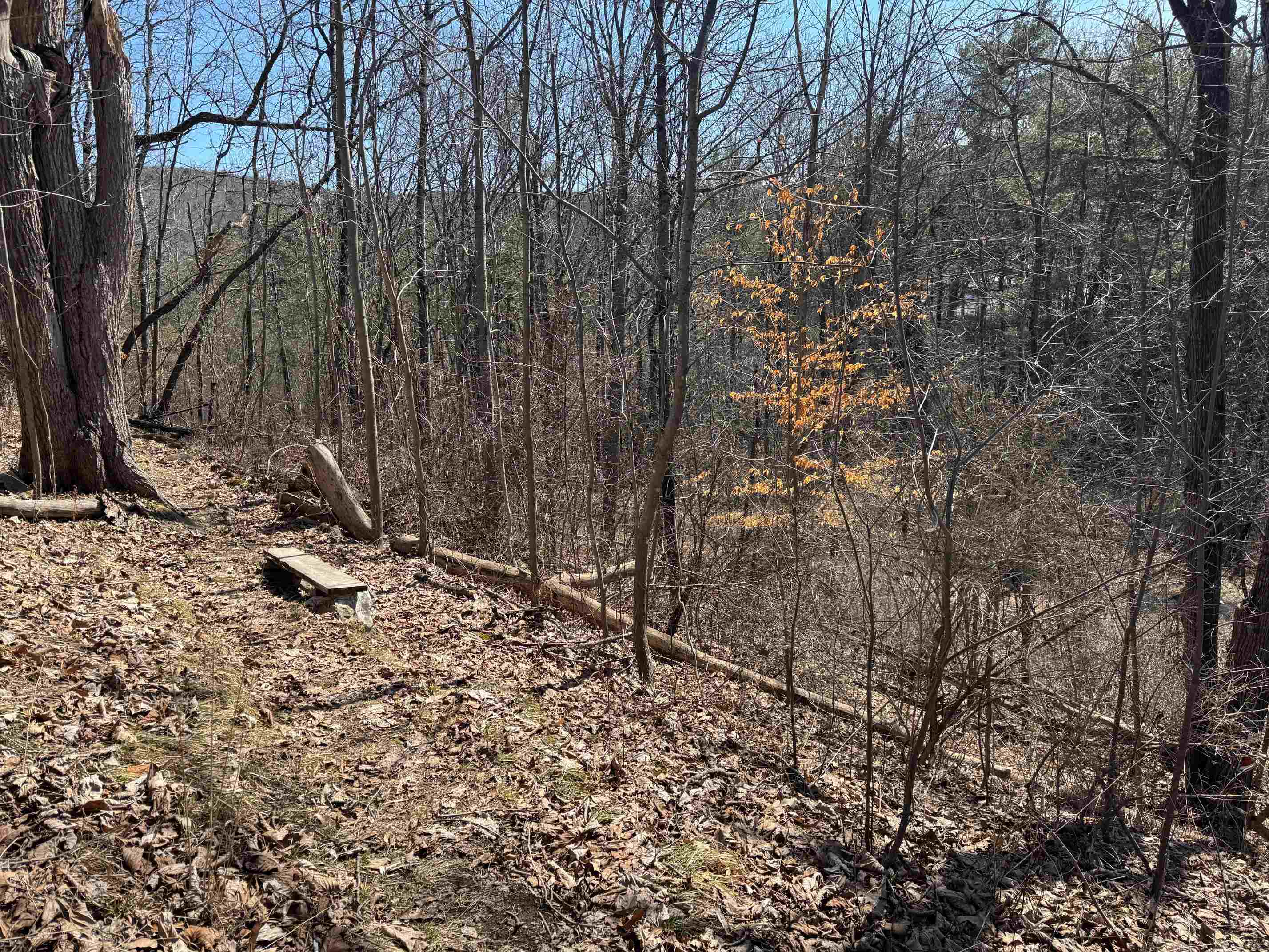 52 Farr Road Property Photo 48