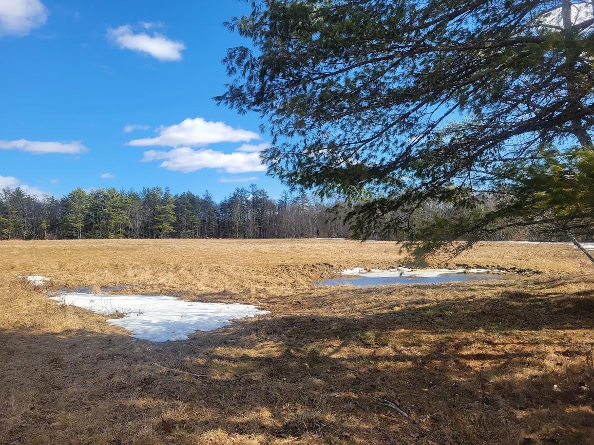 448 Province Road Property Photo 1