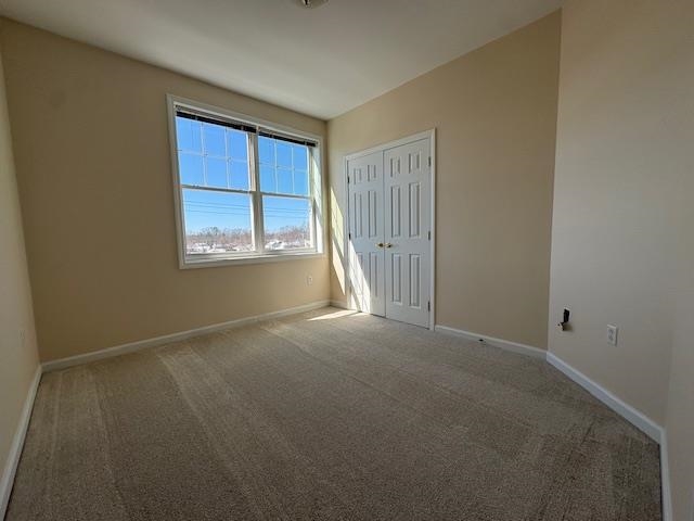 61 Pearl Street Property Photo 21